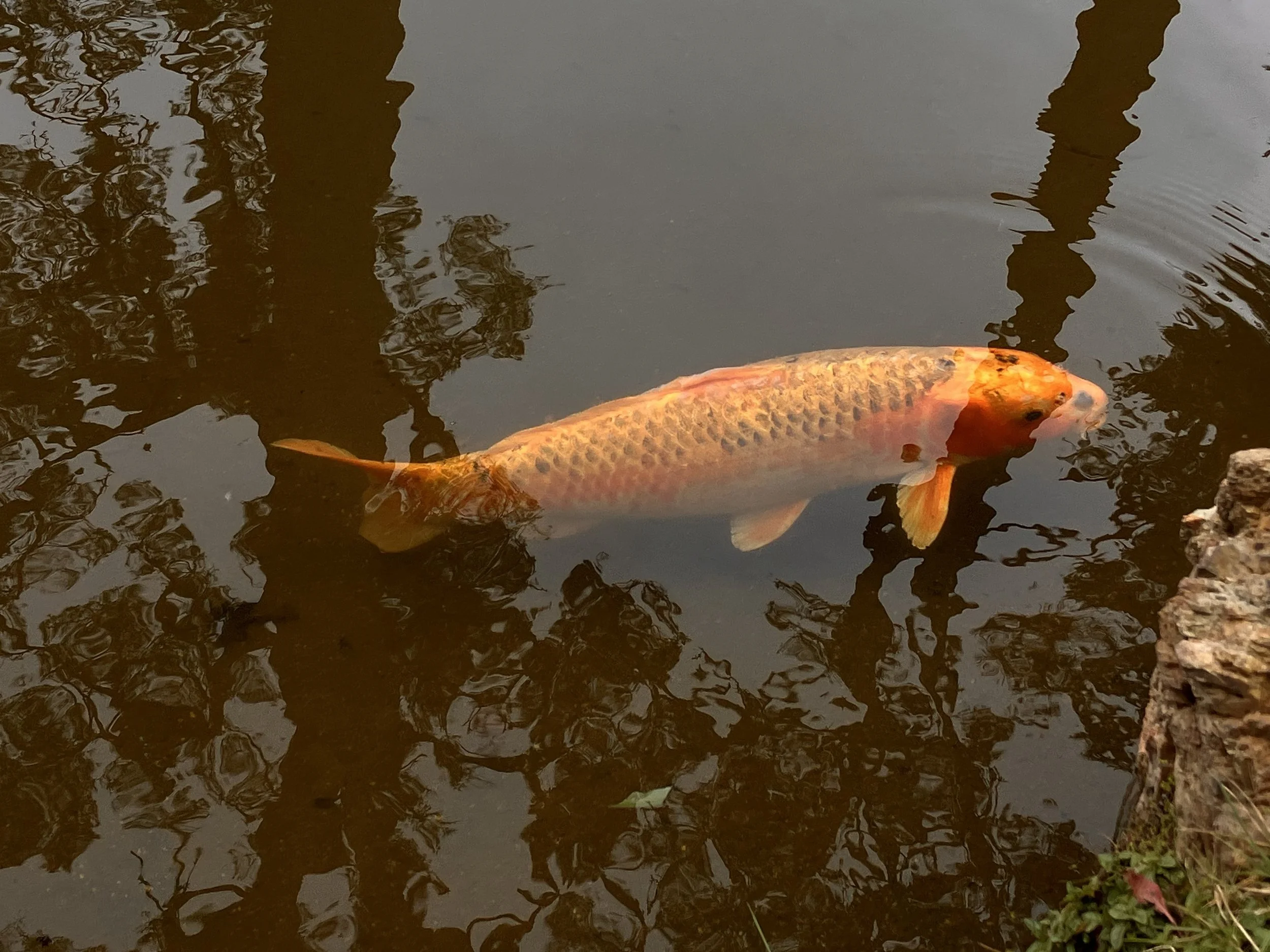 IMG_20260323_190539 (1) (3).jpg