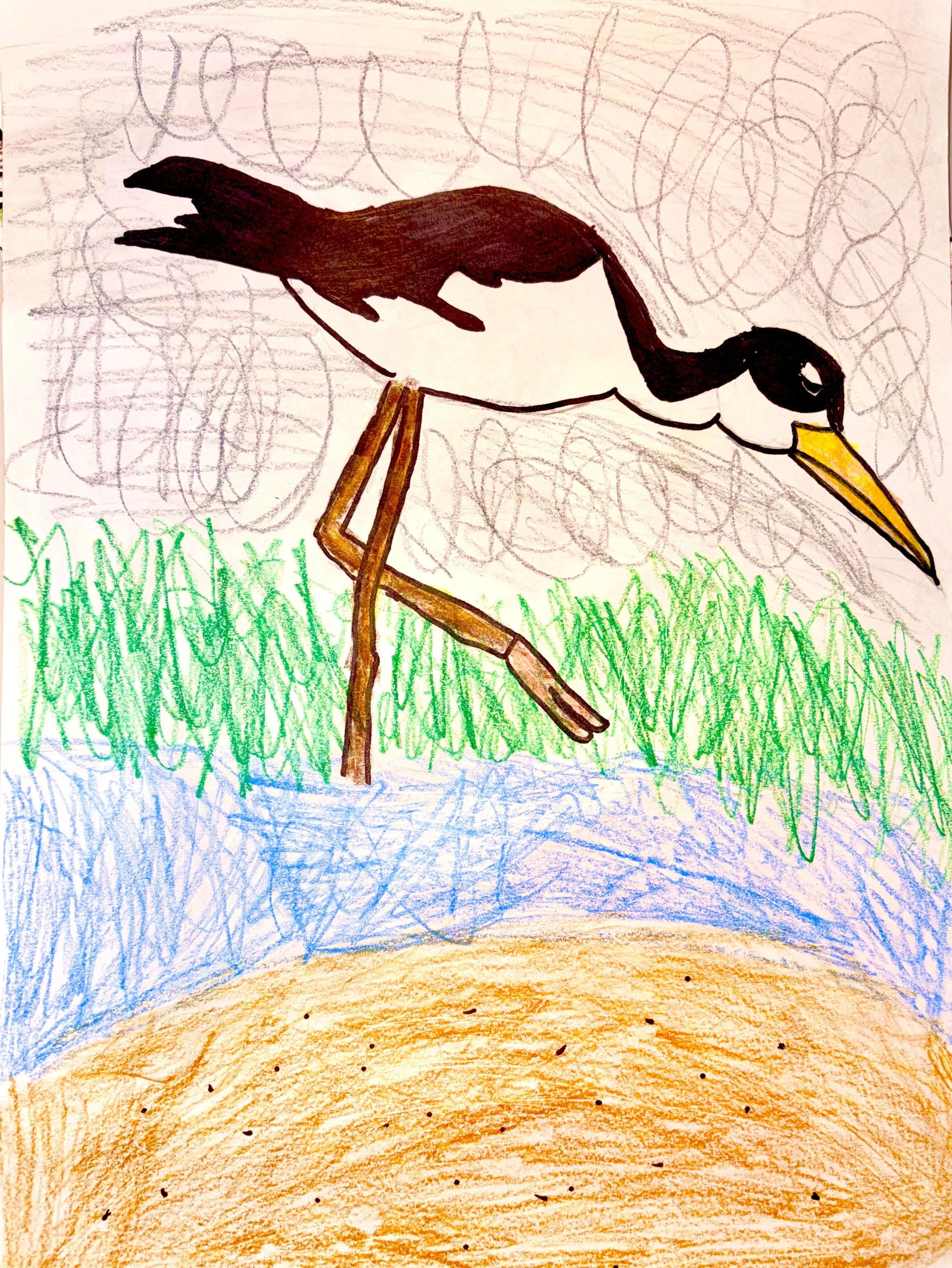 Jude L - Crane in the swamp