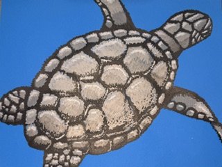 Trinity M - "i like turtles" 