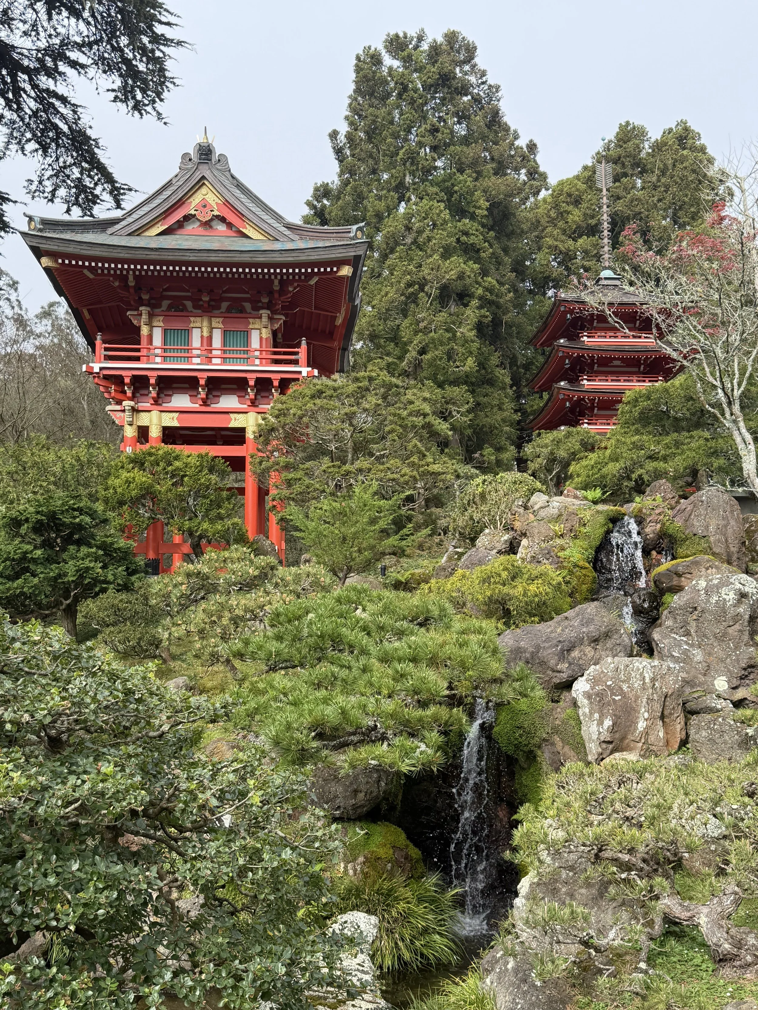 IMG_20260324_085705 (2).jpg