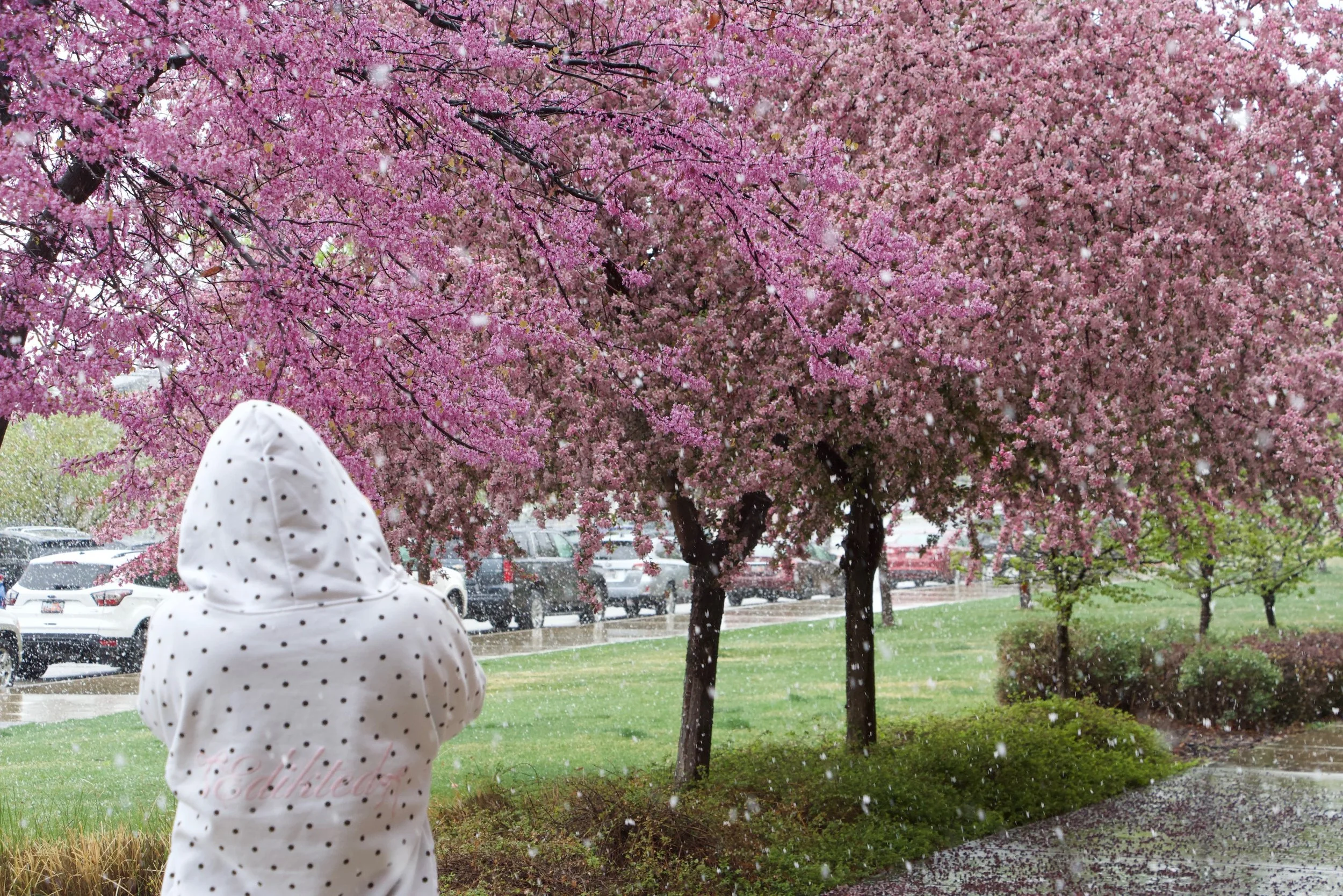 Adelynn A. - A Snowing Spring pt2.