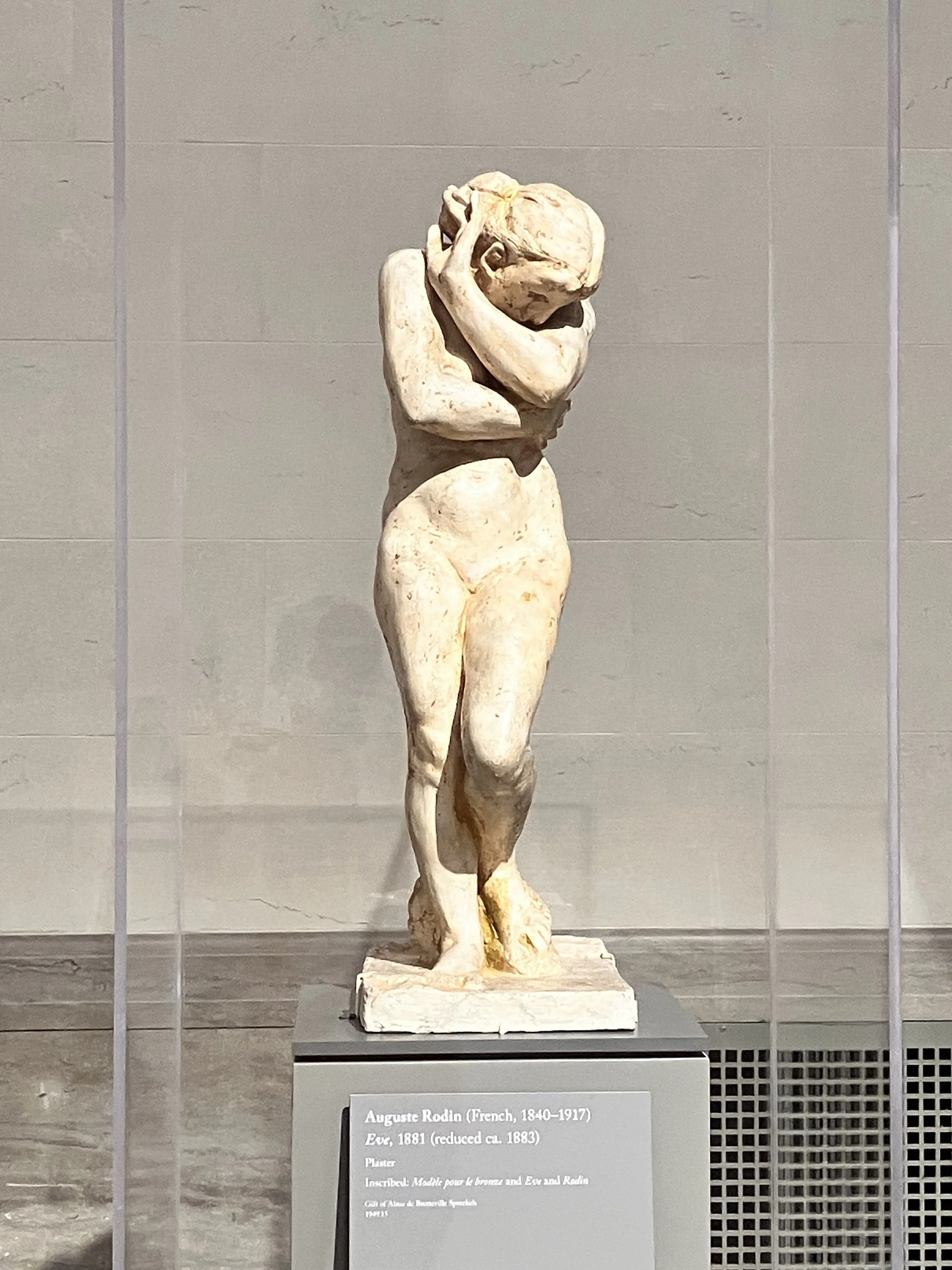 IMG_20260323_190540 (10).jpg