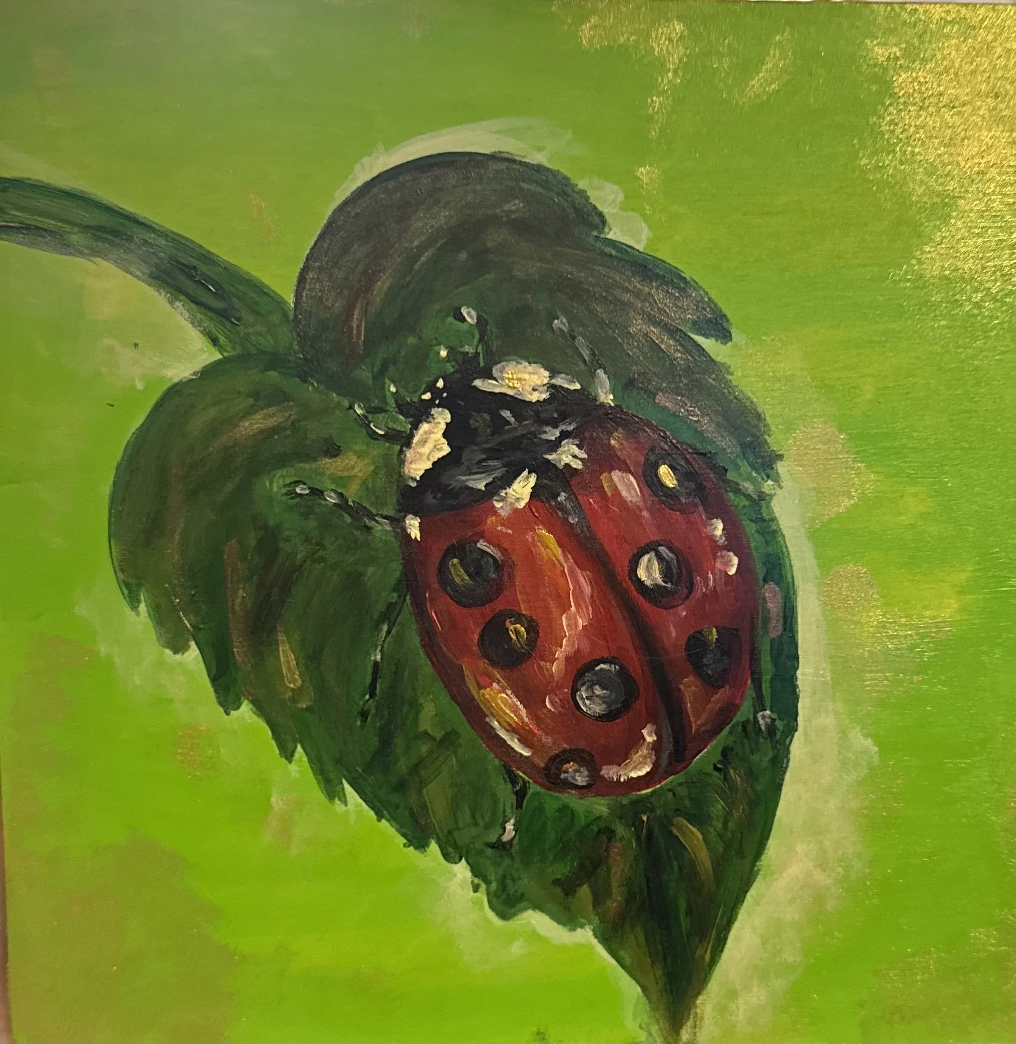 Hannah N - Lady bug on a leaf 