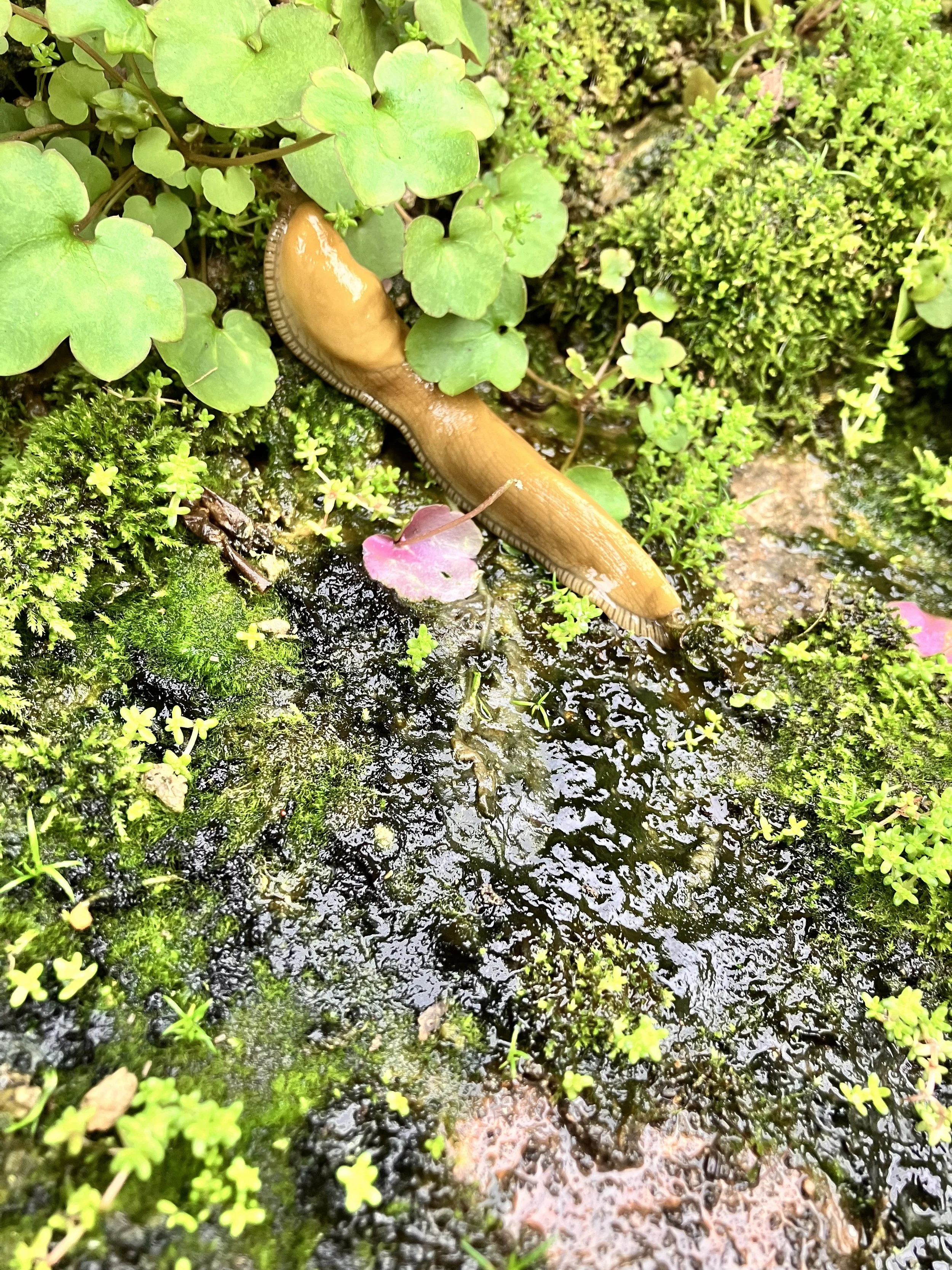 IMG_20260323_190538 (12).jpg