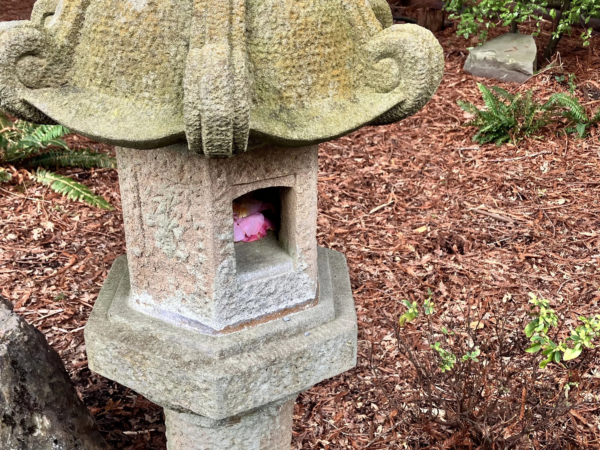 IMG_20260323_190539 (1) (9).jpg