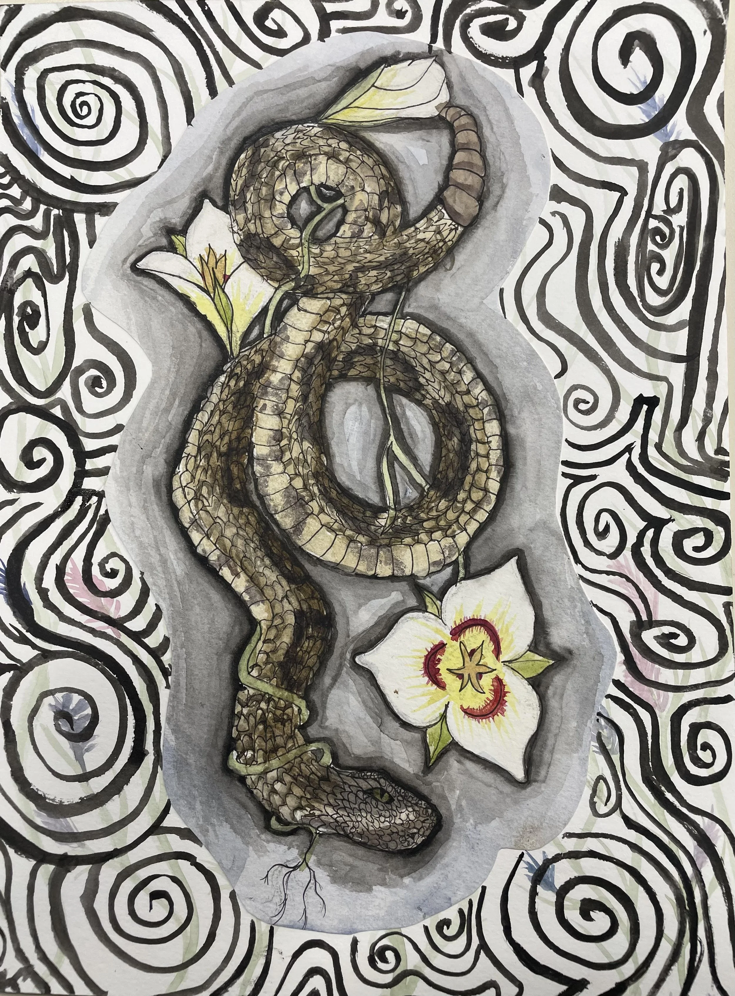 Claire J - Sego and Great Basin Rattlesnake 🏅Award of Merit