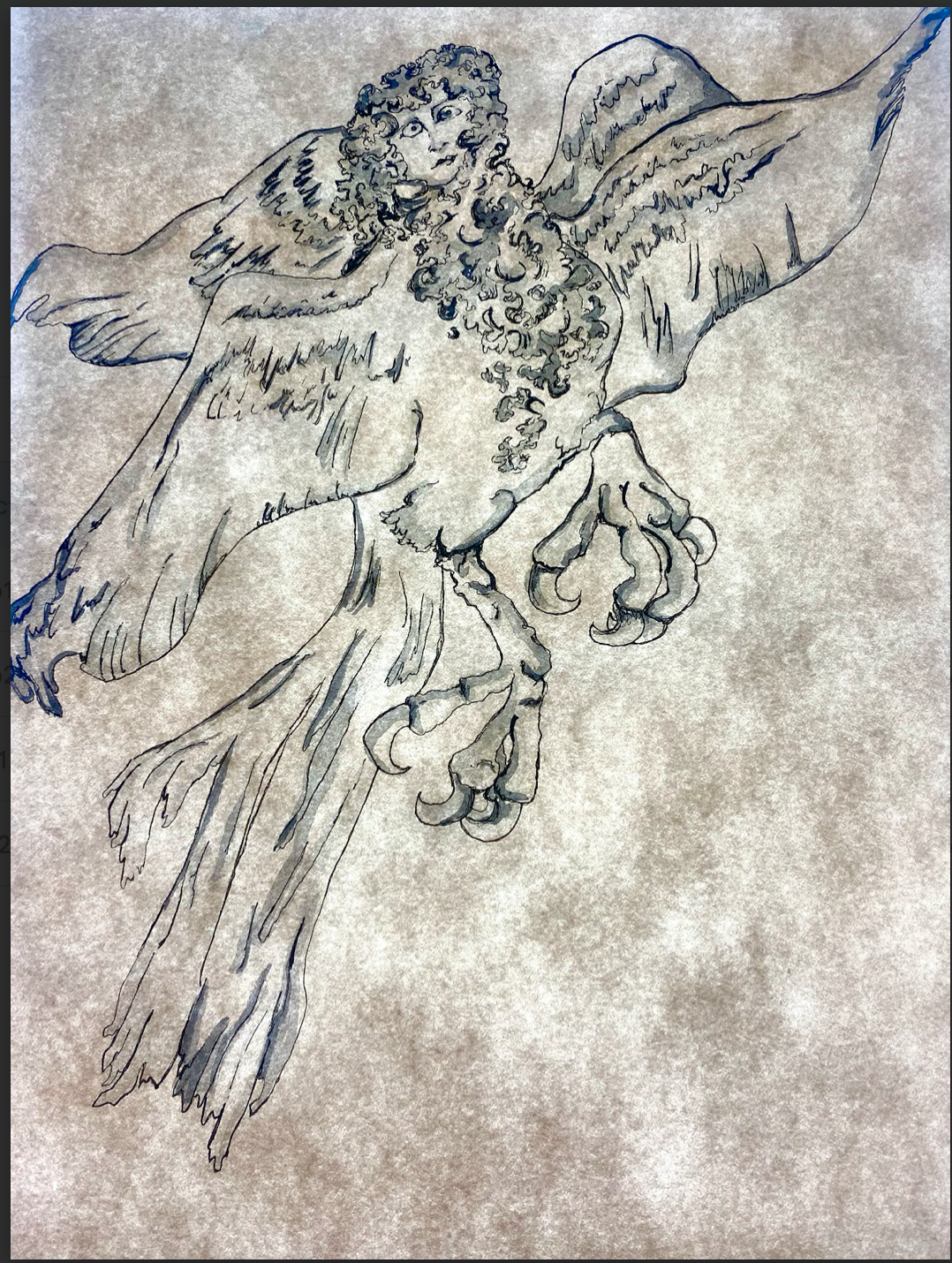 Vaiola H - Harpy