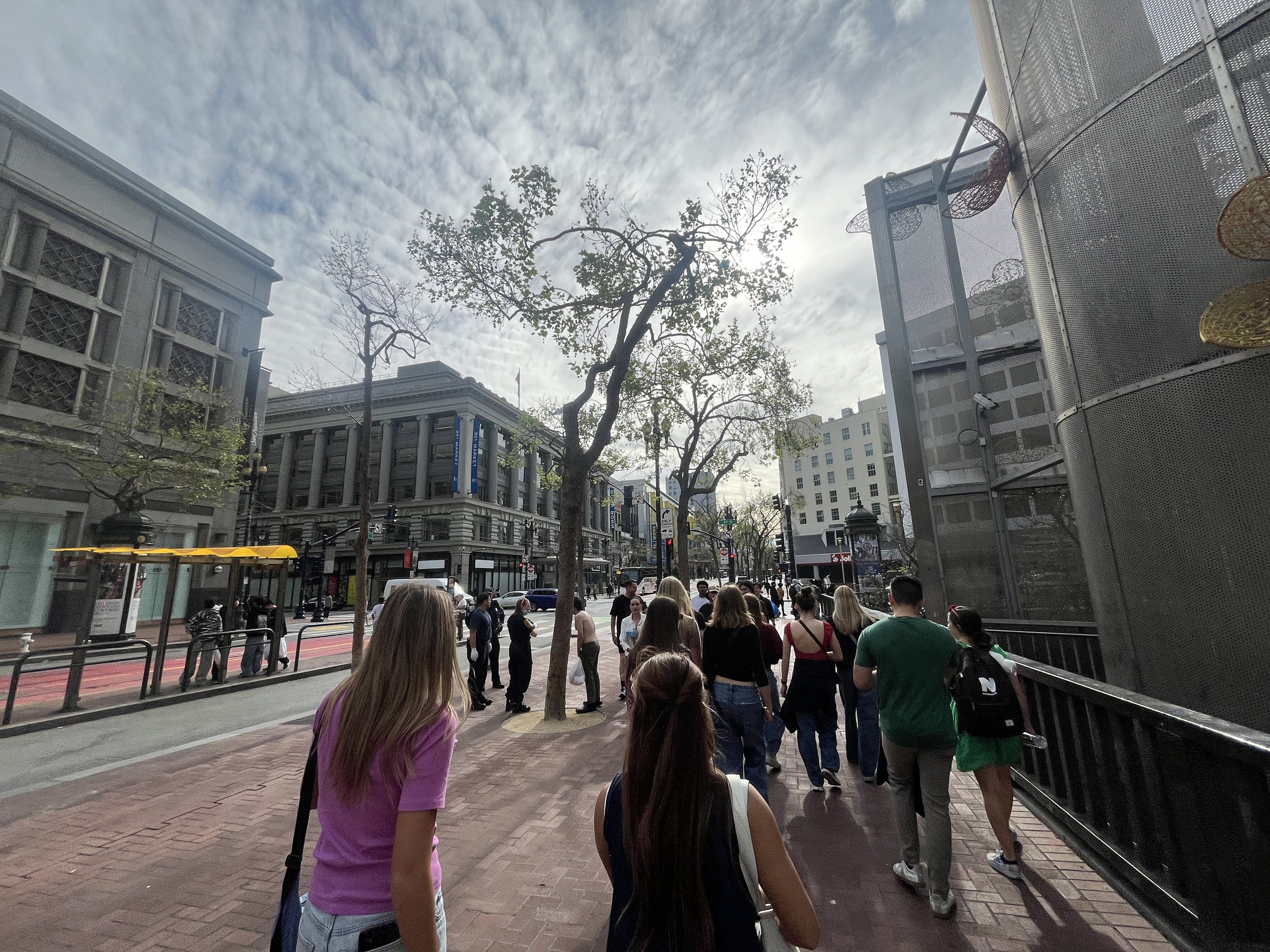 IMG_20260323_191046 (4).jpg