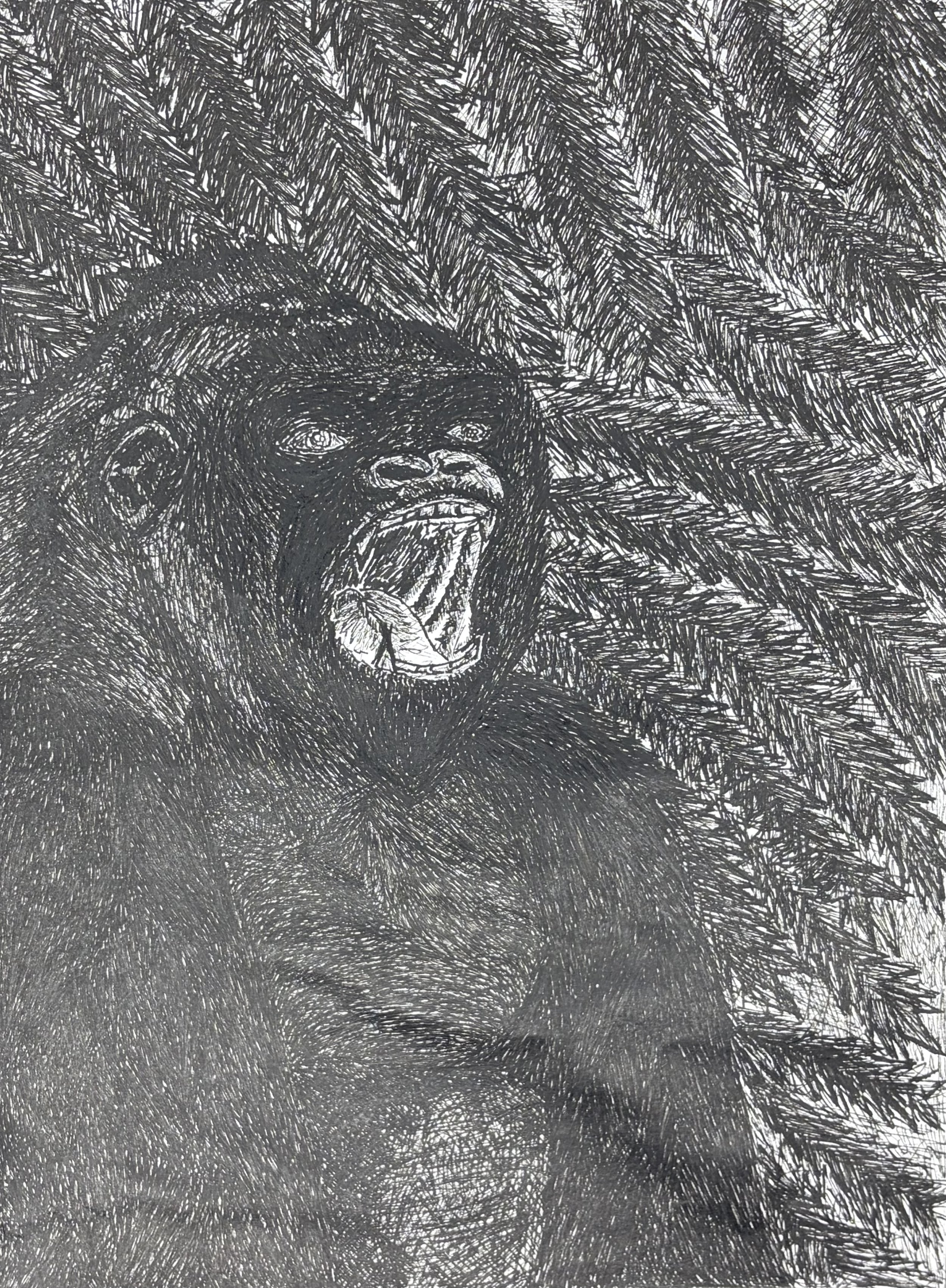 Henry M - Goroara