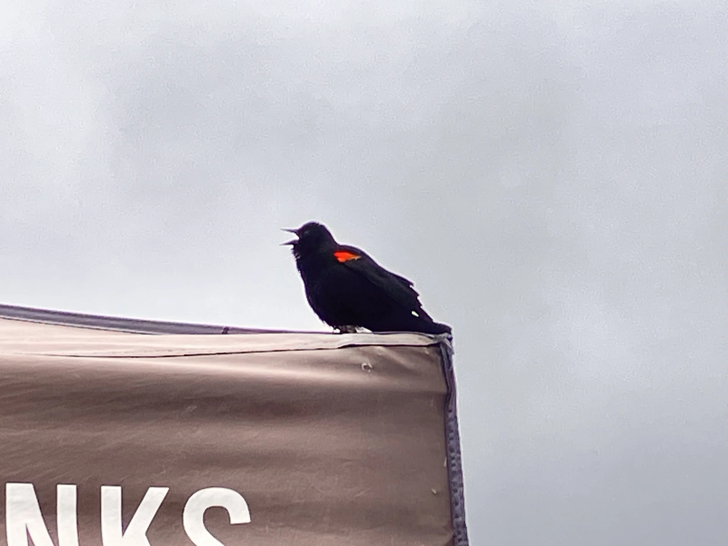 IMG_20260323_190539 (1) (1).jpg