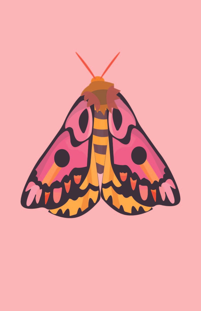 Ellie B - Sheep Moth