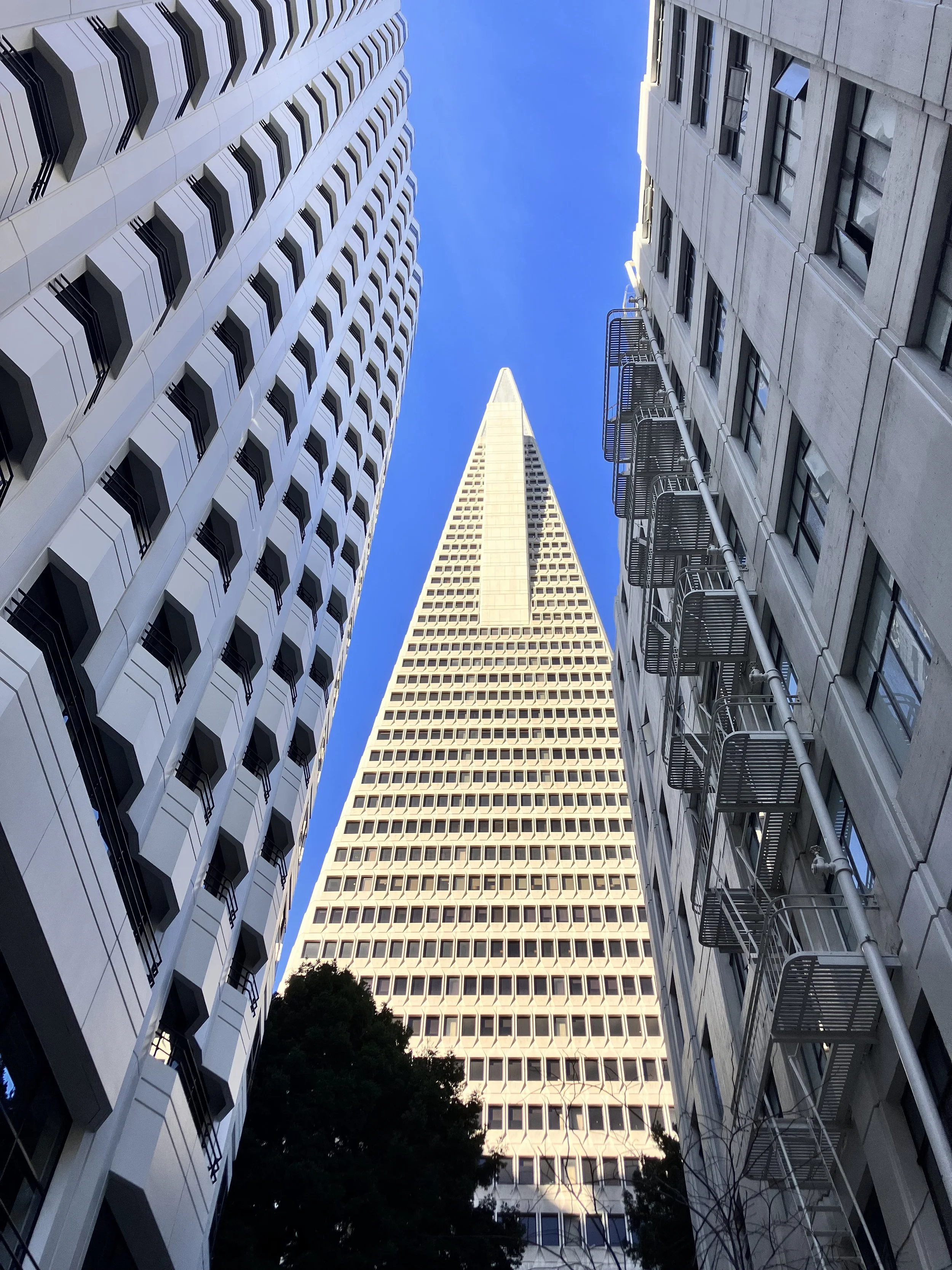 IMG_20260323_190539 (23).jpg