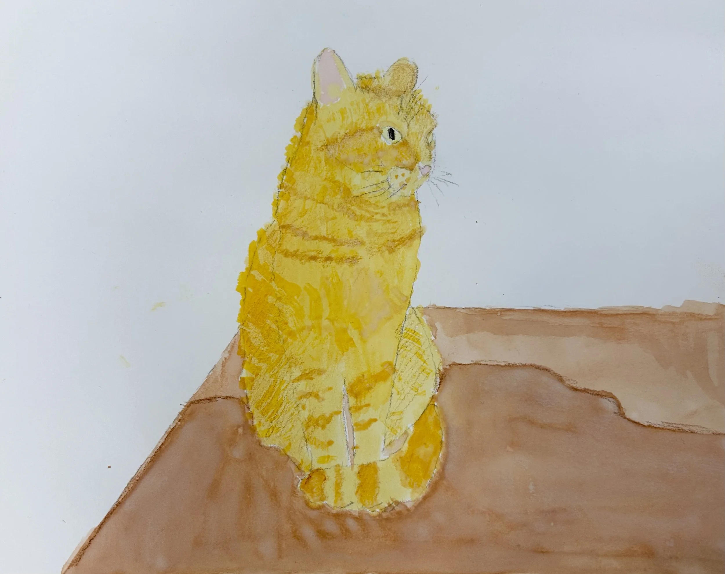 Ariana V - My Pet Cat Ginger