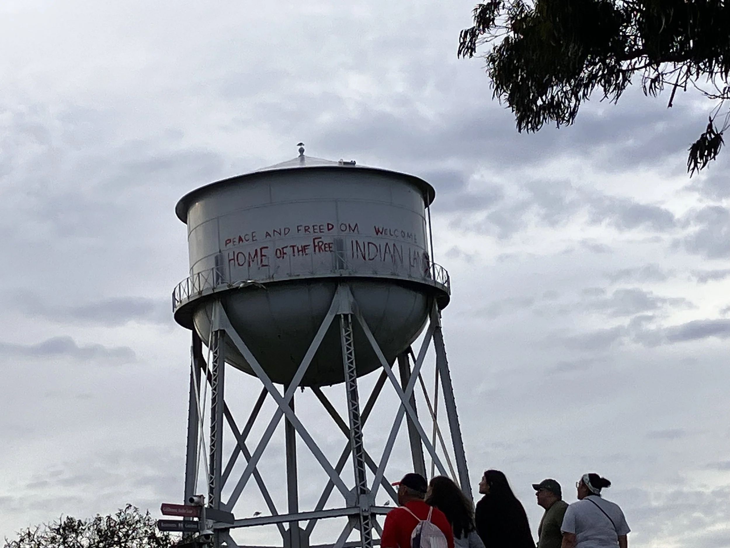 IMG_20260323_190538 (11).jpg