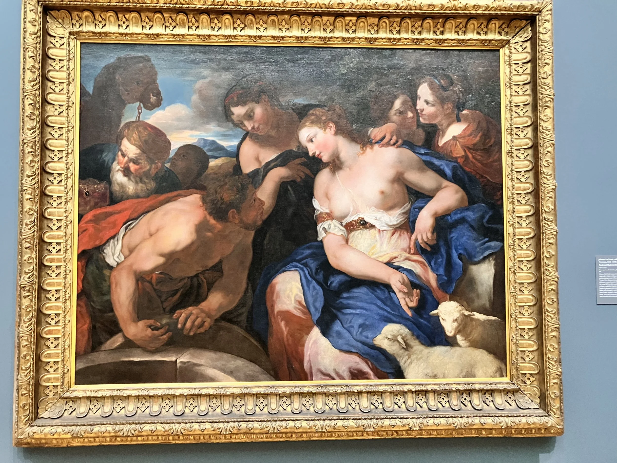 IMG_20260323_190537 (11).jpg