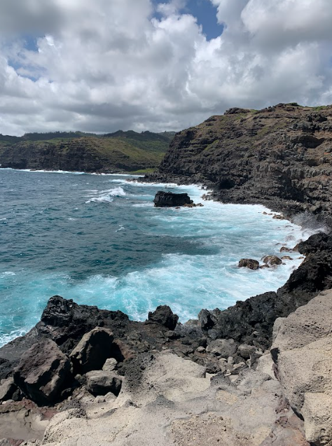 Vanessa M. - Rocky Shore