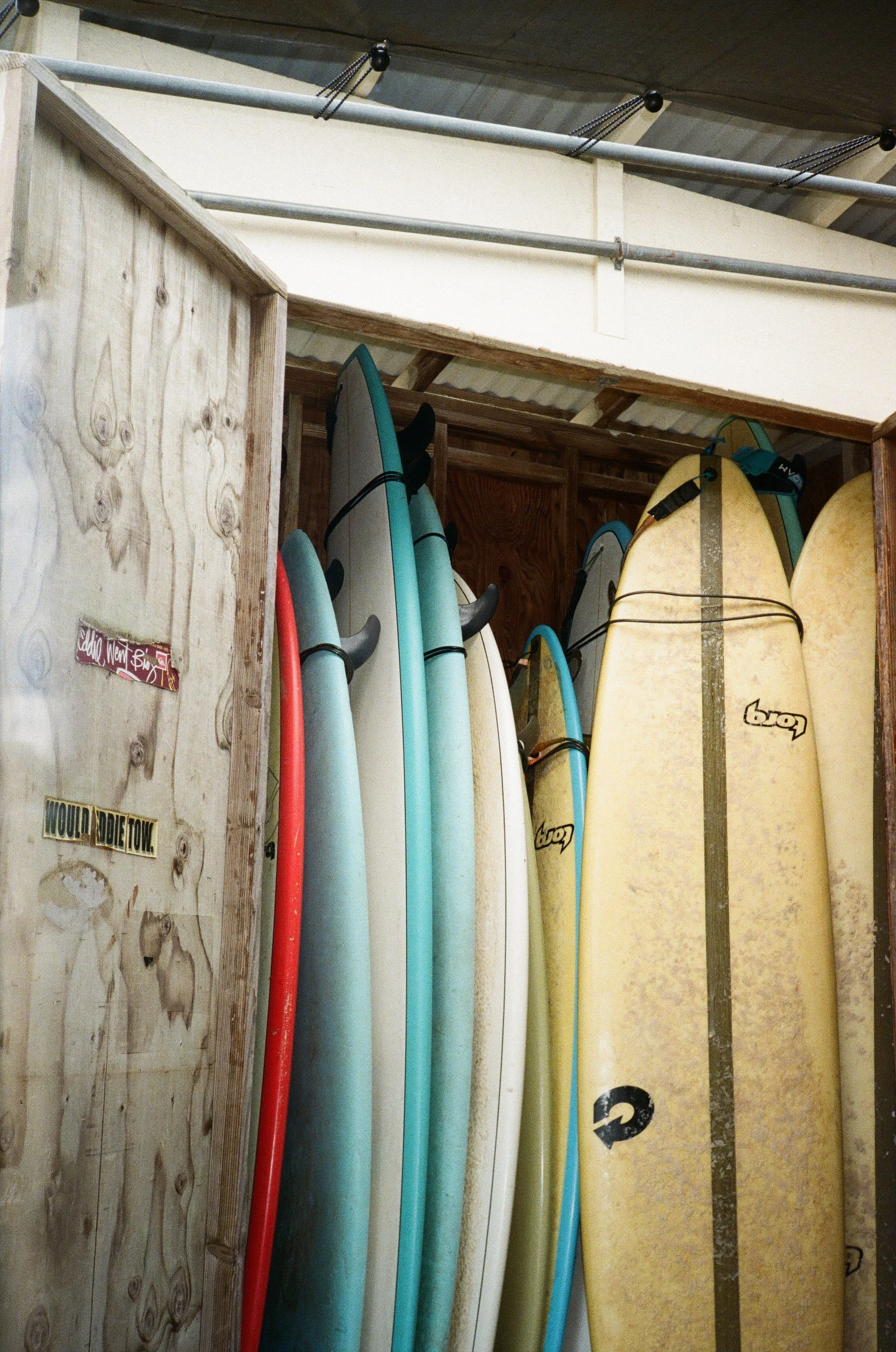 Paislie B. - Surf Shop 🏅Award of Honorable Mention