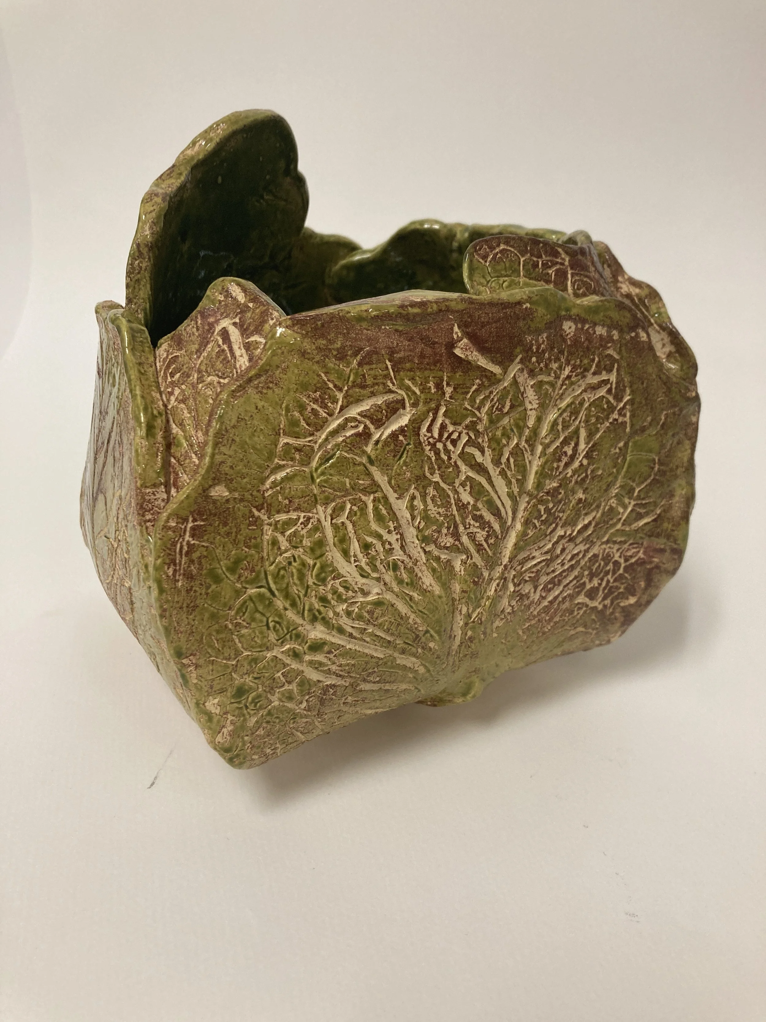 image - TEAGAN BLOUT.jpg