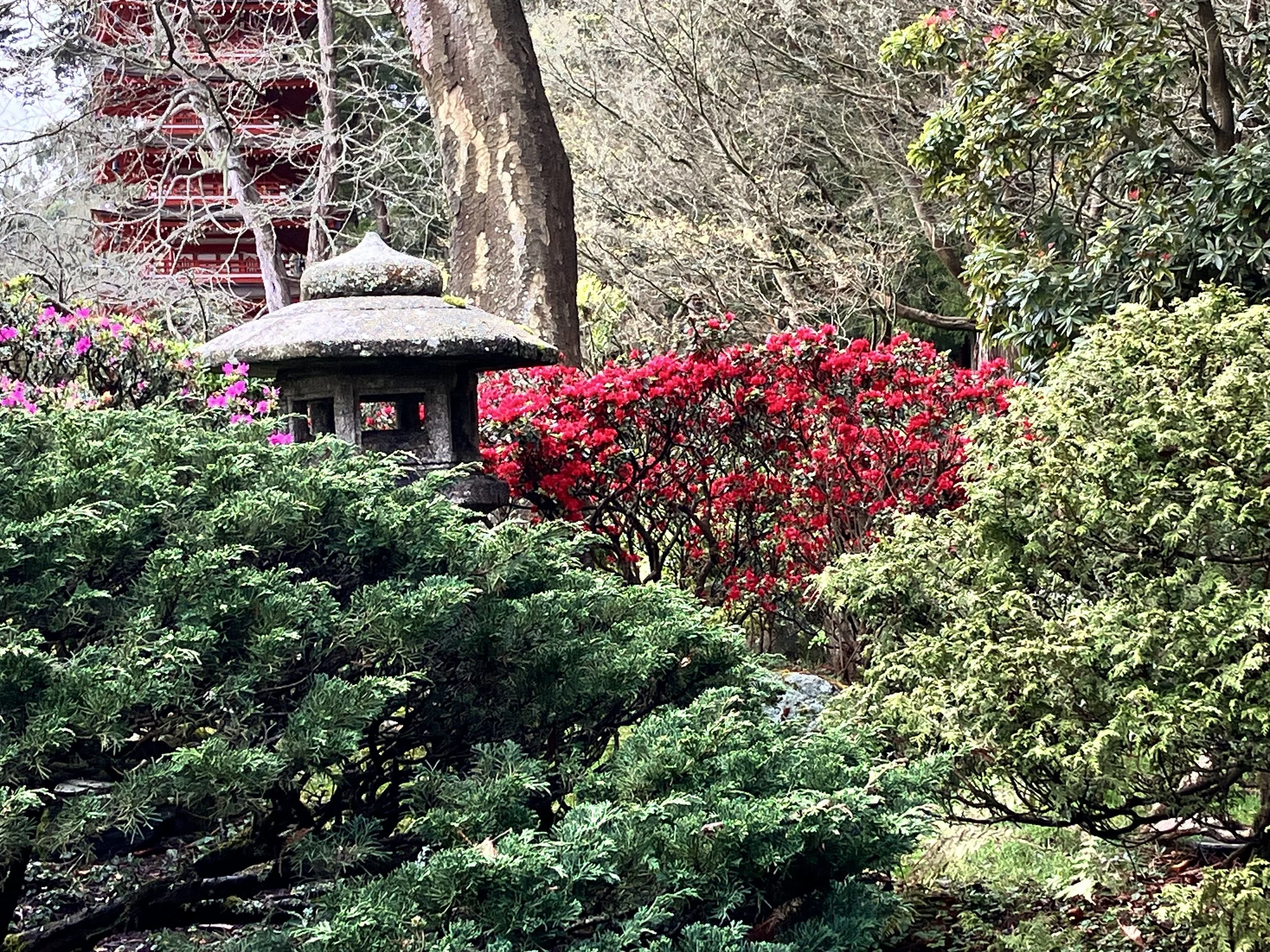 IMG_20260323_190539 (1) (11).jpg