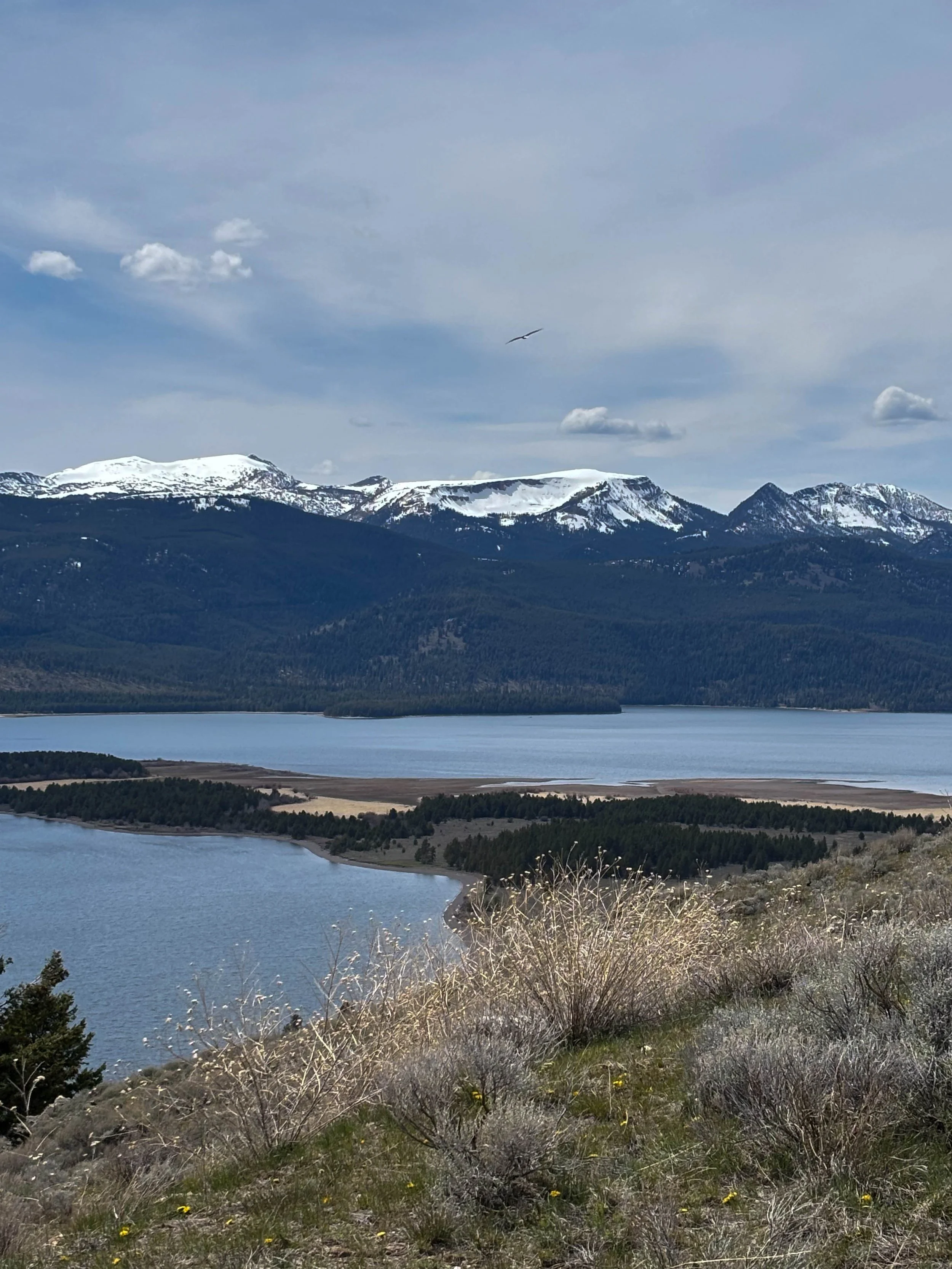 Mia G. - Horse Butte Lookout - Hebgen Lake