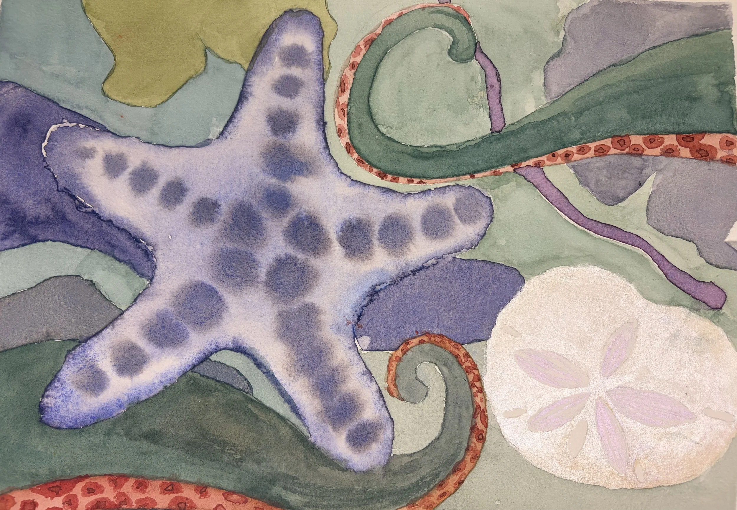 Mathilda S - star and sand dollar