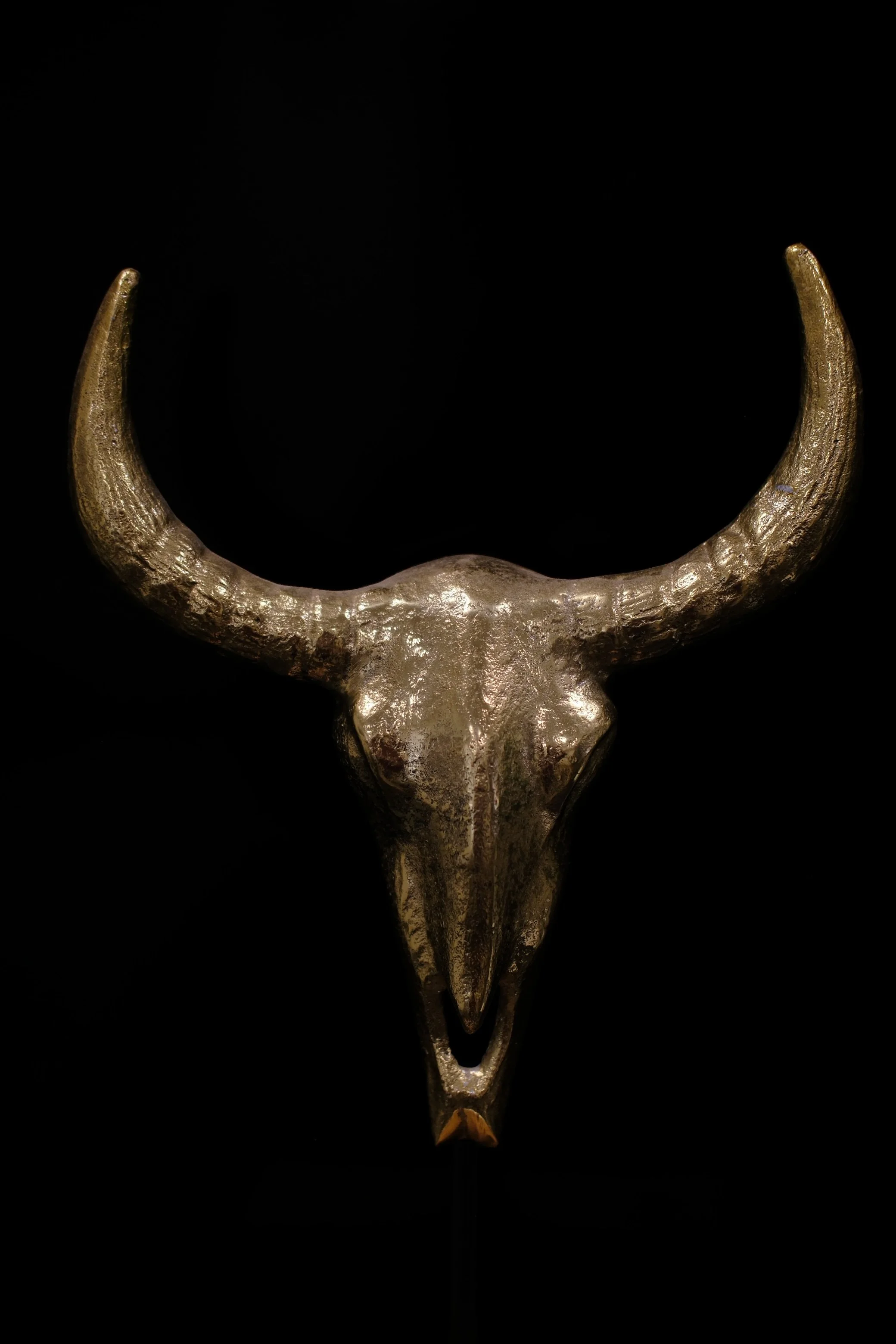 Olivia P. - The Golden Bison
