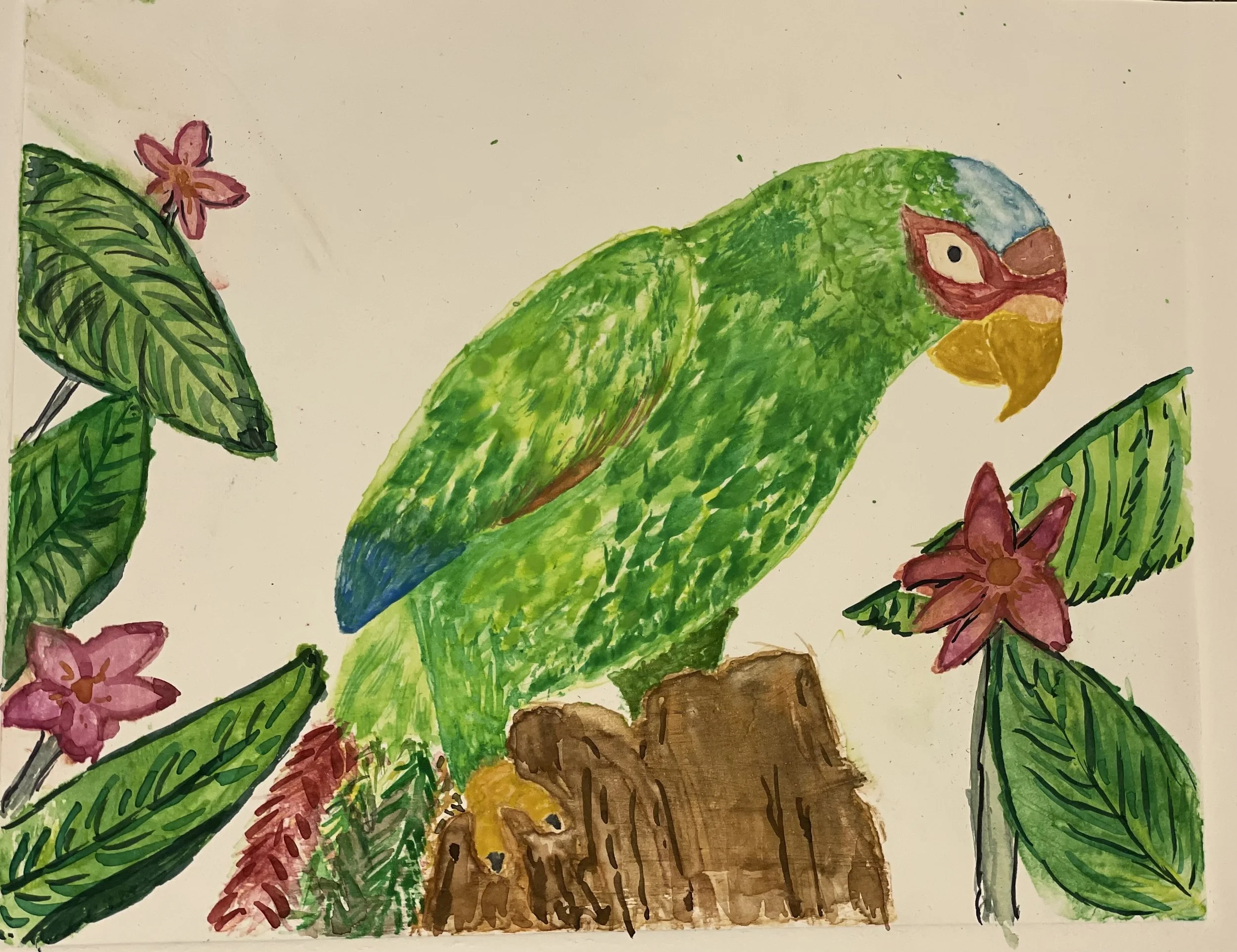 Remy S - Green Parrot