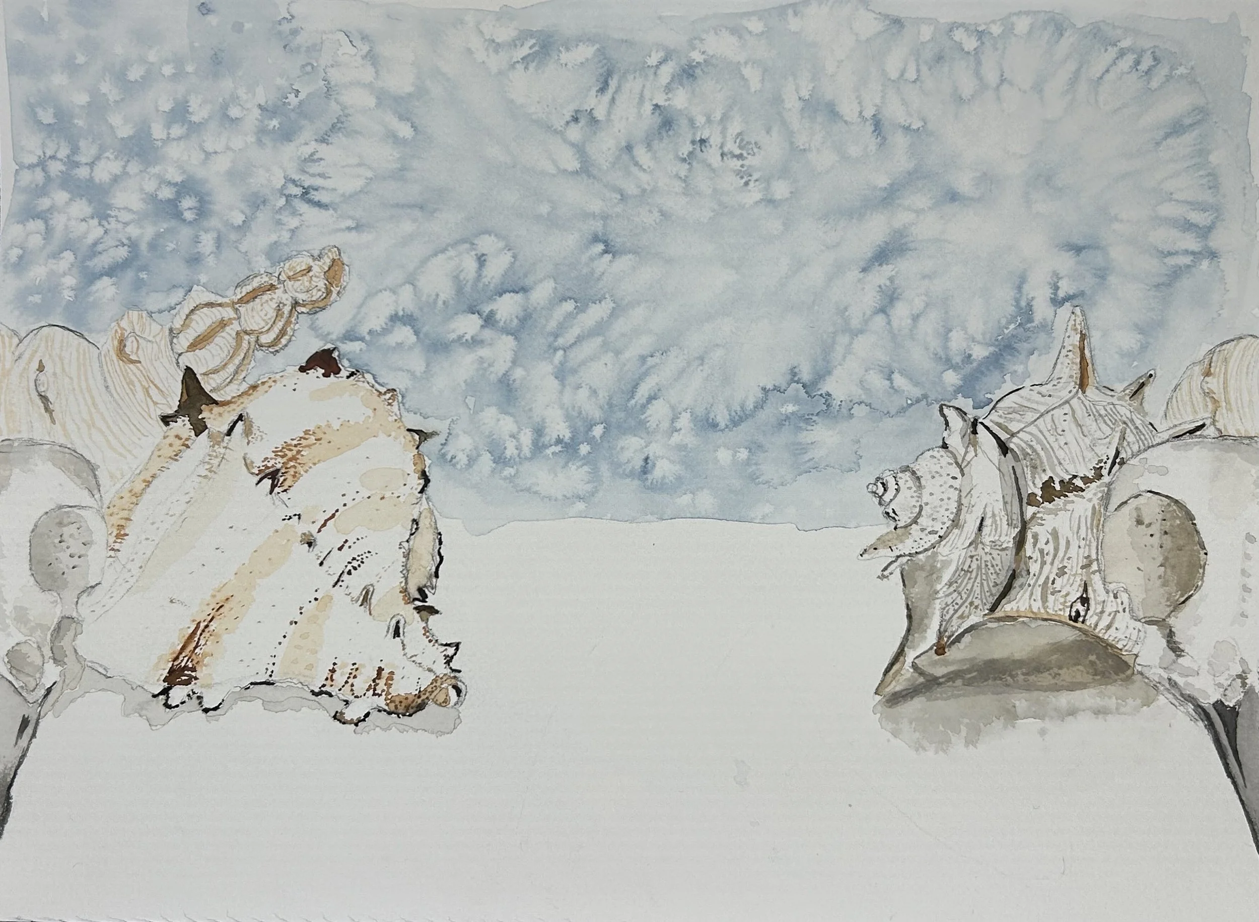 Heath I - Ocean shells
