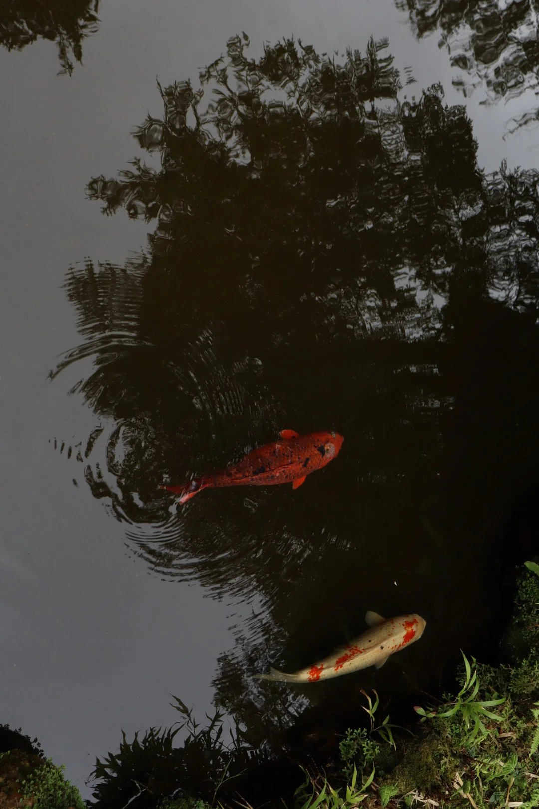 IMG_20260323_190840 (3).jpg