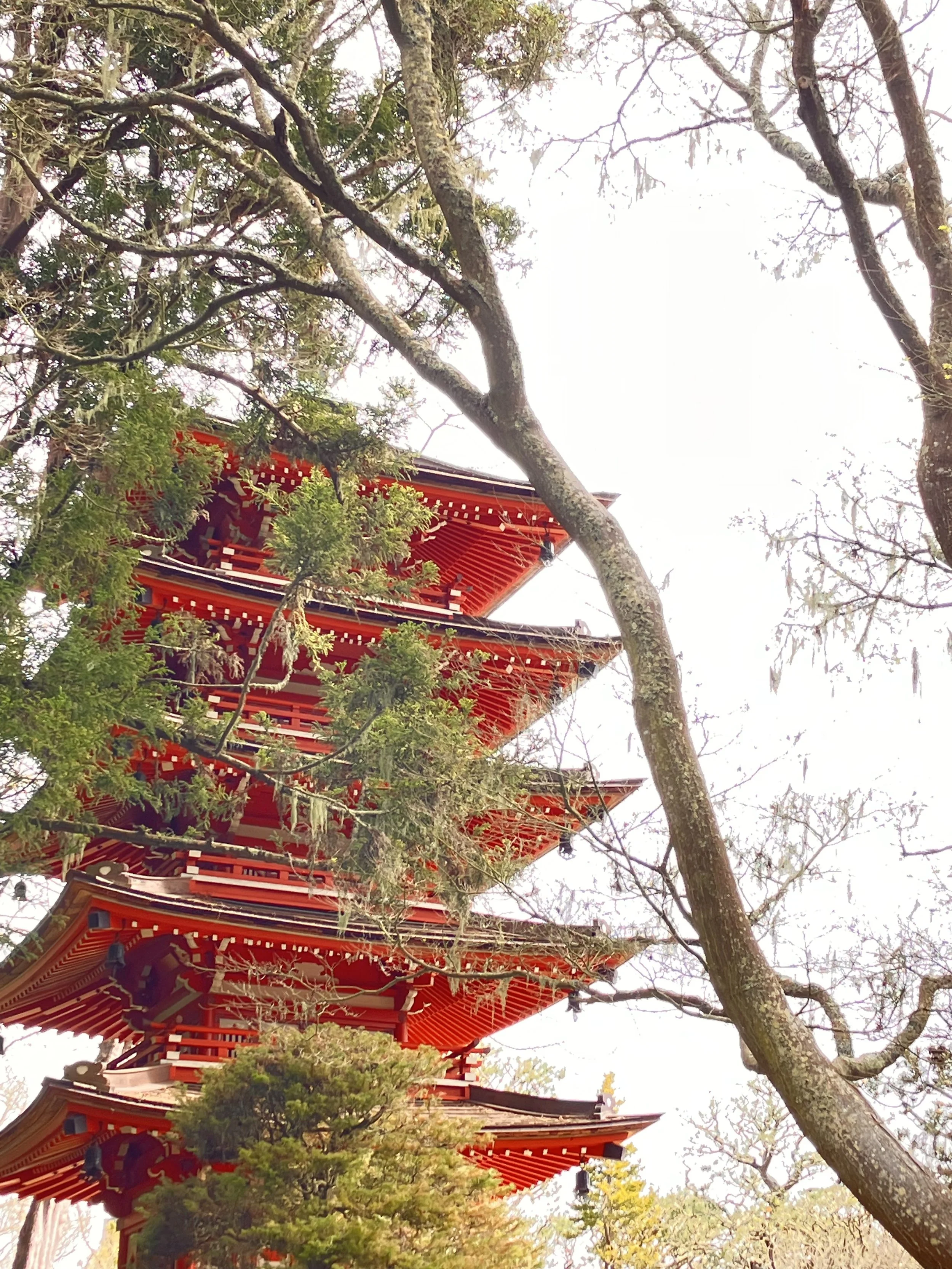 IMG_20260323_190539 (1) (6).jpg