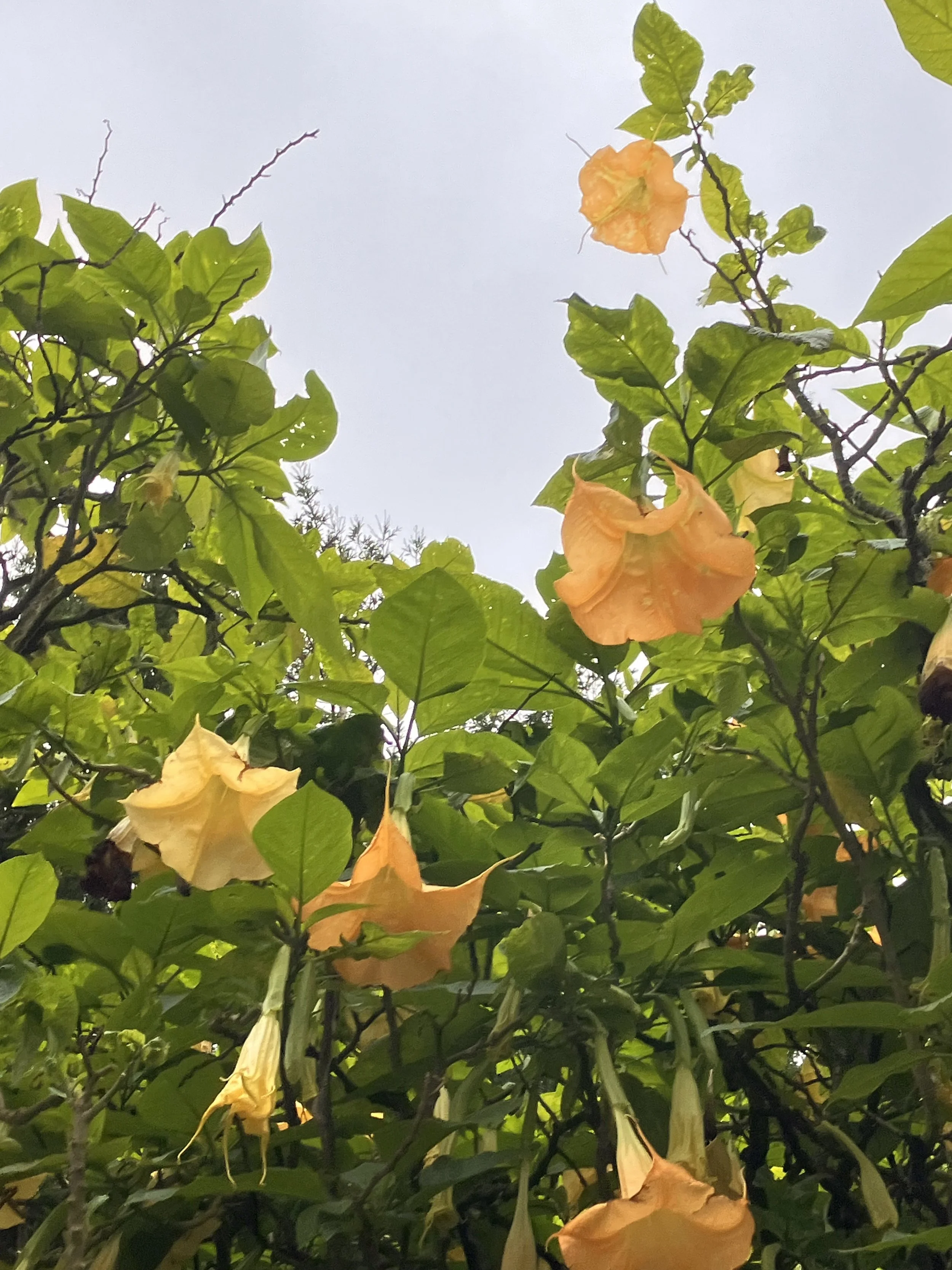 IMG_20260323_190539 (1) (2).jpg