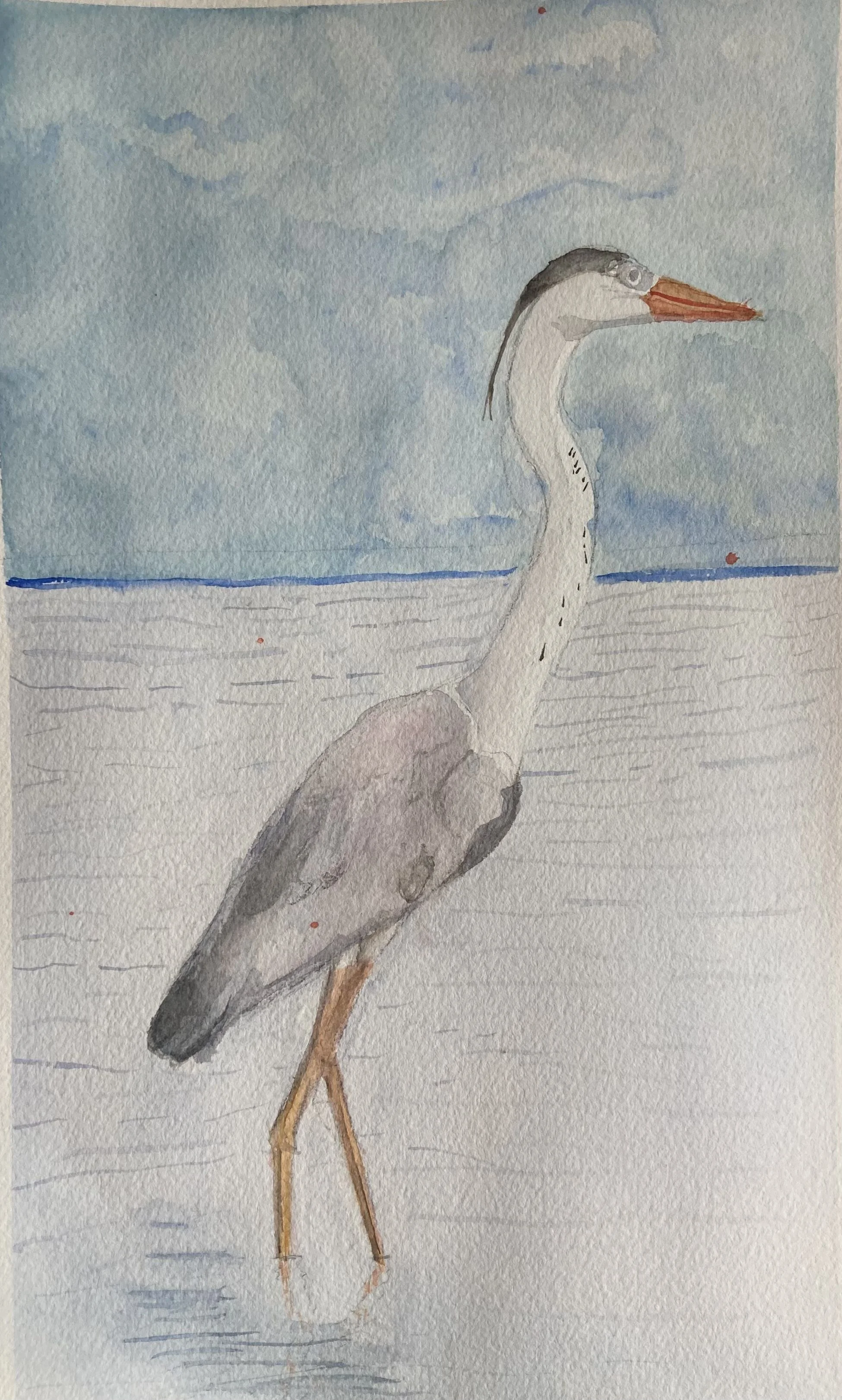Ellie B - Water Bird