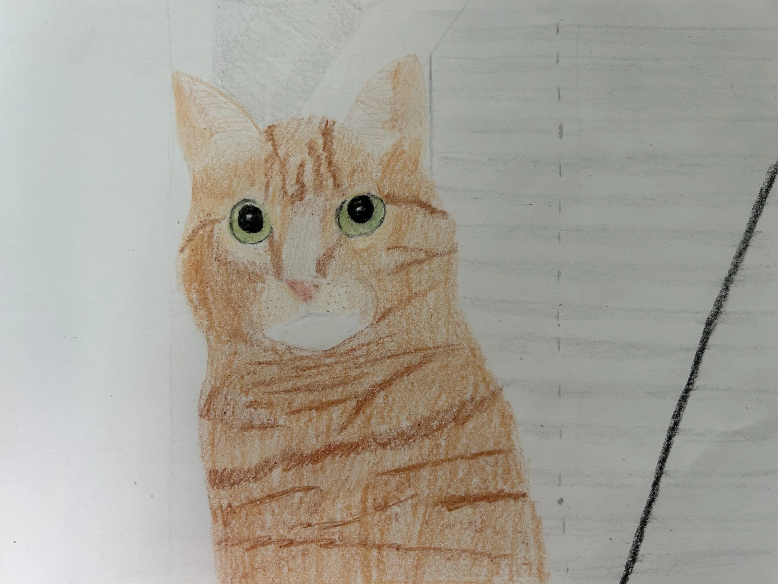 Ariana V - Orange Cat