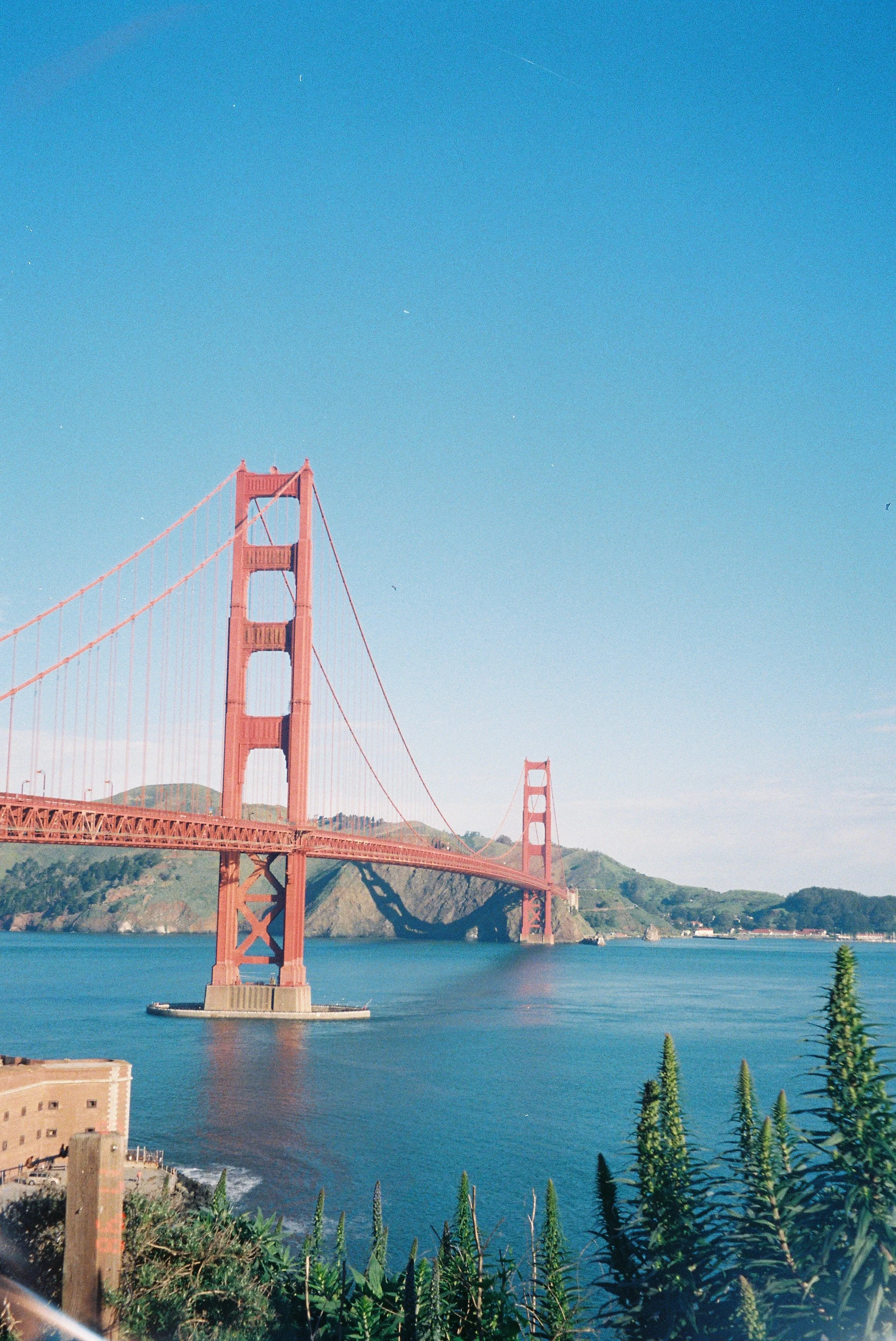 IMG_20260323_190642 (3).jpg