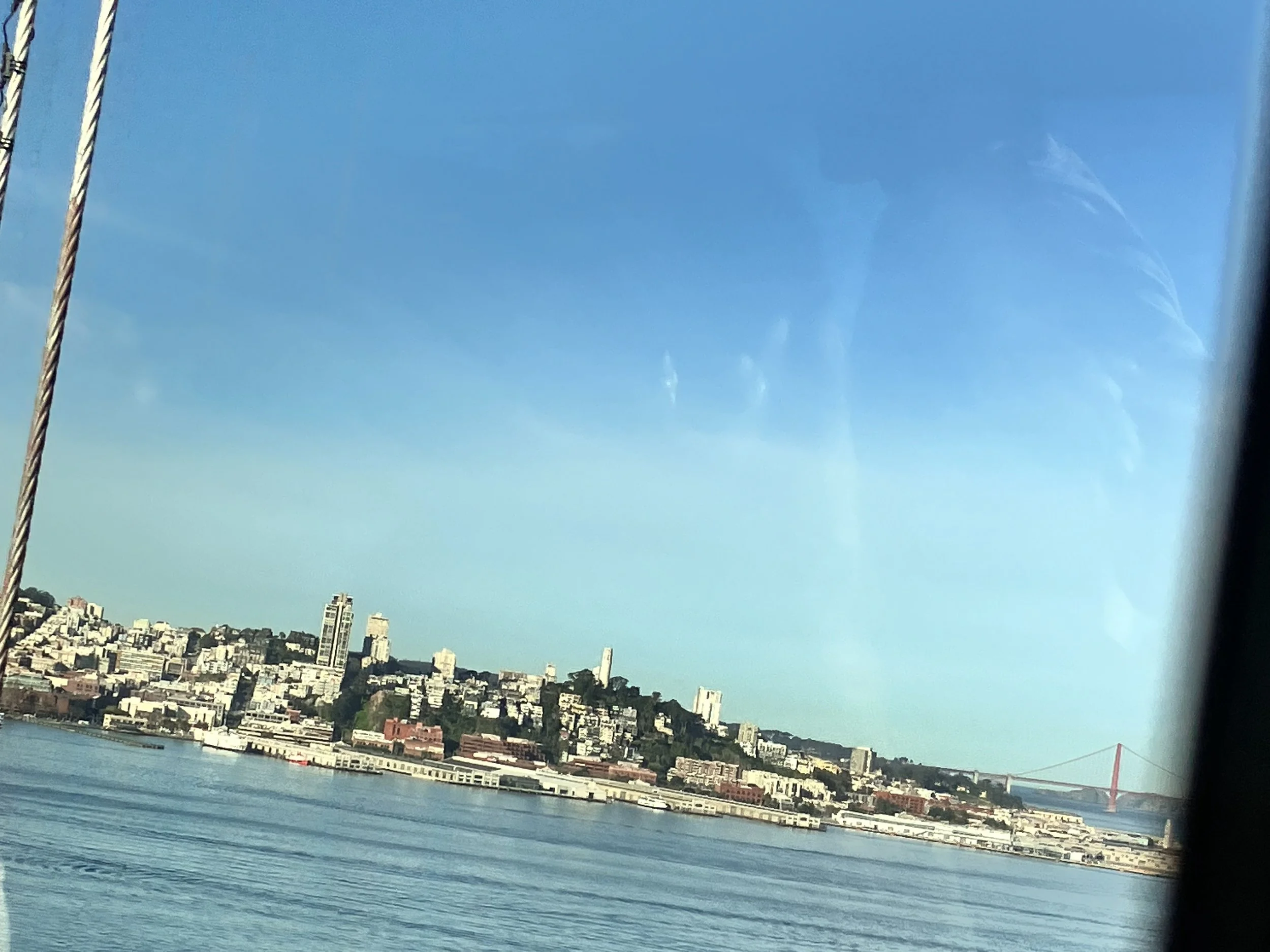 IMG_20260323_190540 (1) (1).jpg