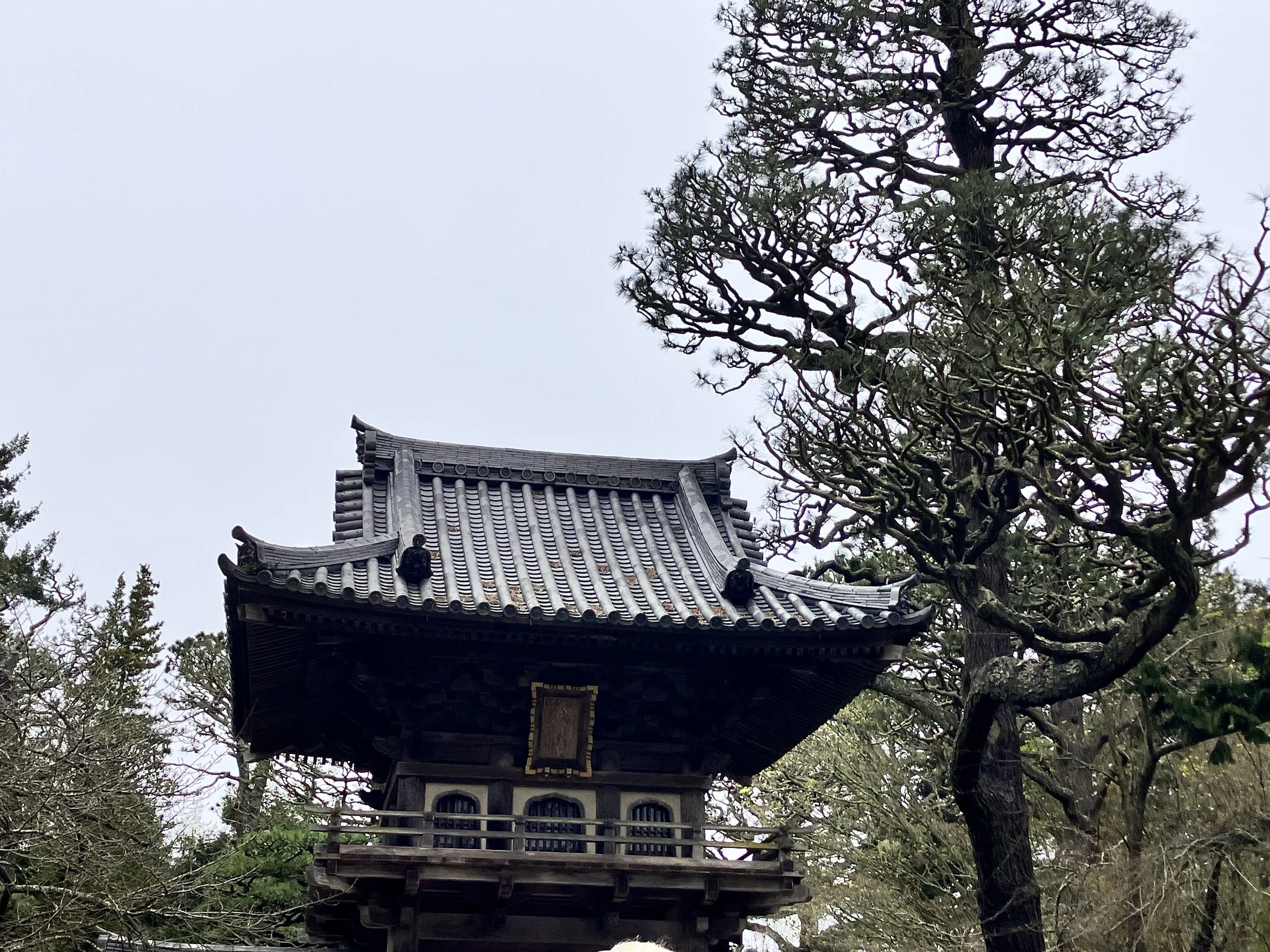 IMG_20260323_190539 (19).jpg