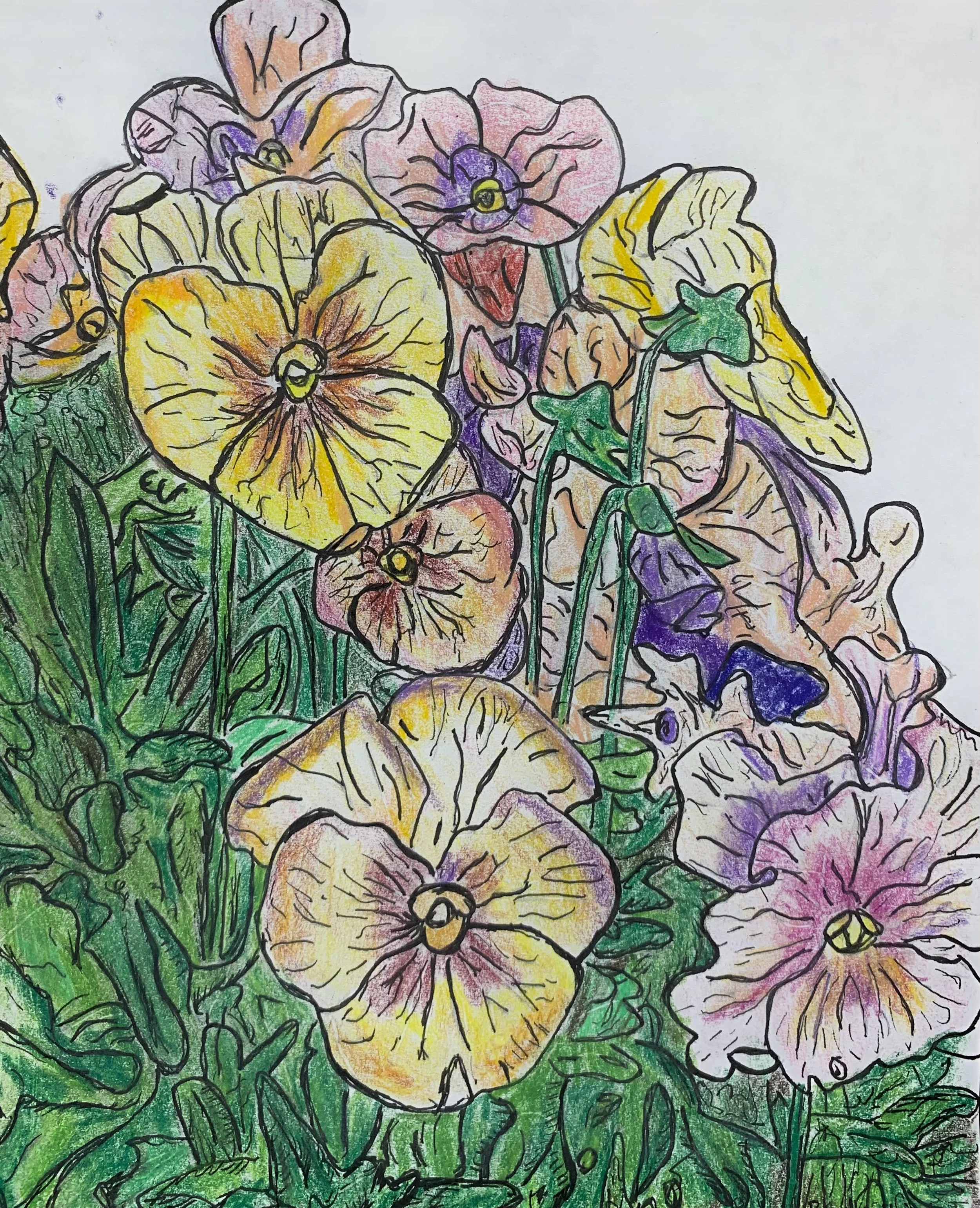 Bradley S - My Garden