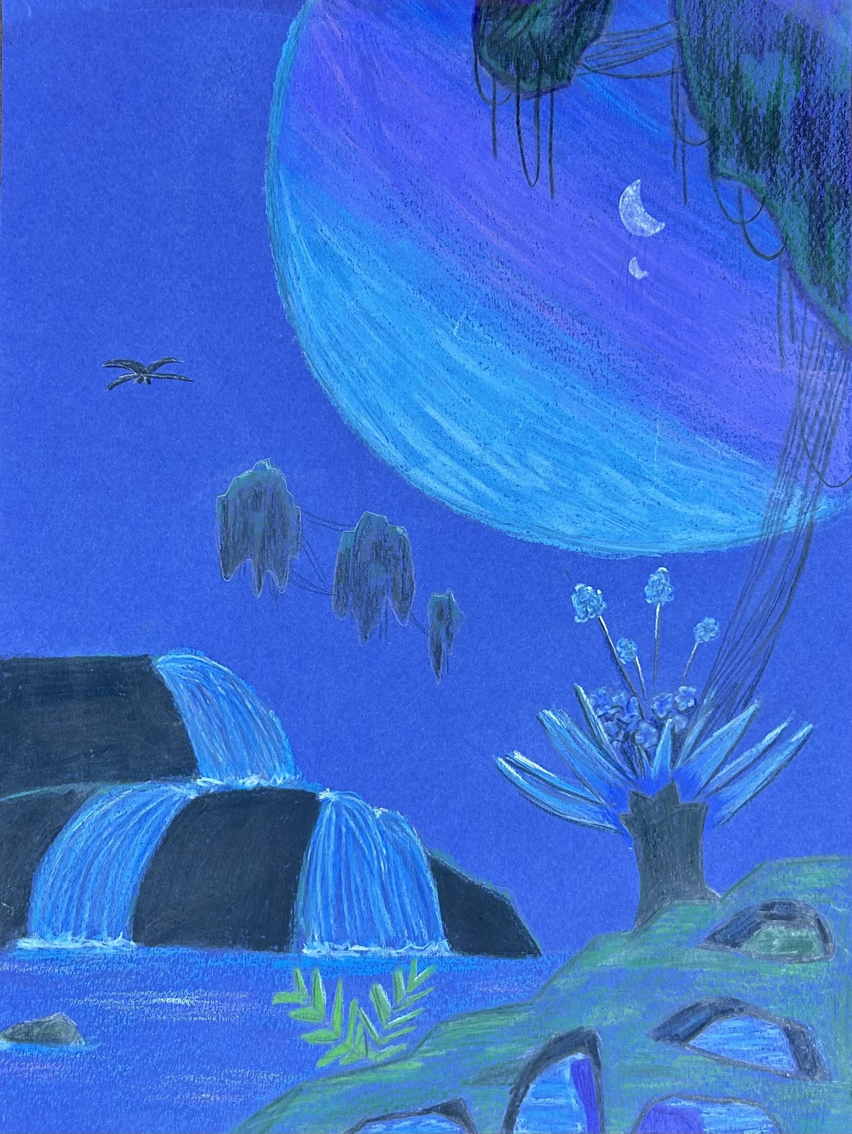 Sadie L - Avatar World 
