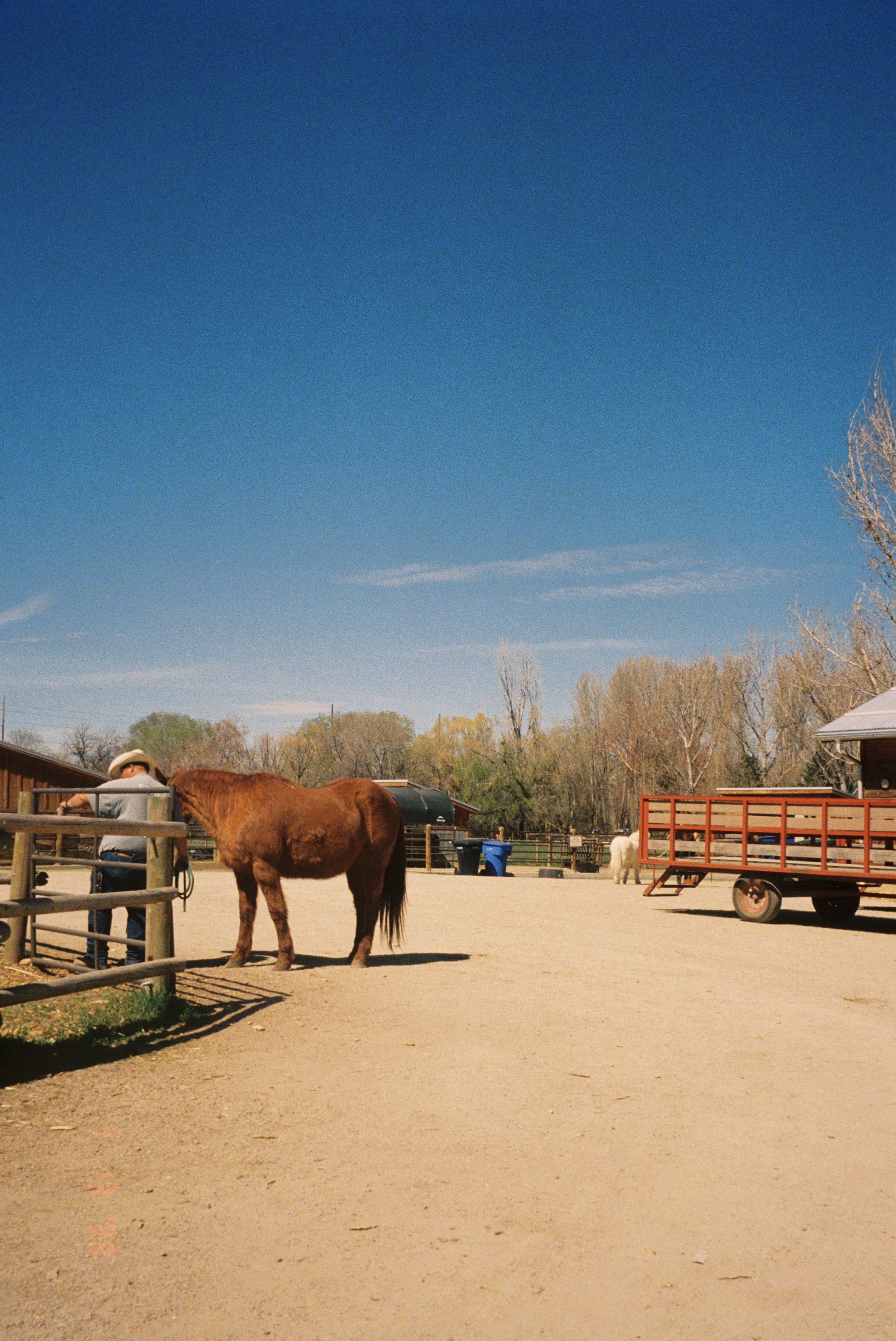 Caroline G. - Working on the Farm