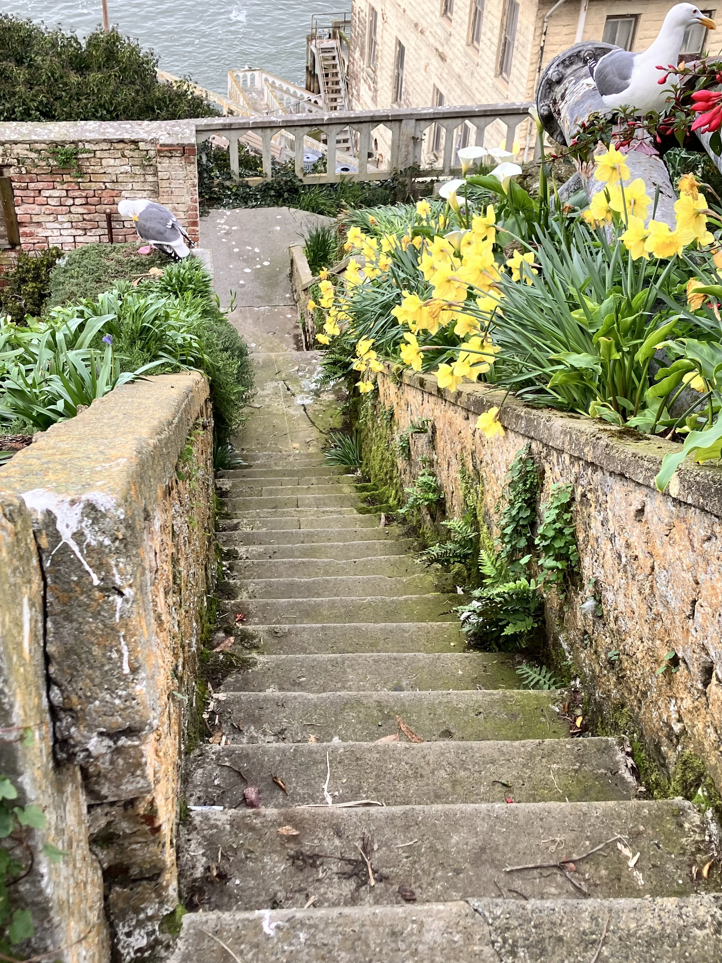 IMG_20260323_190538 (10).jpg