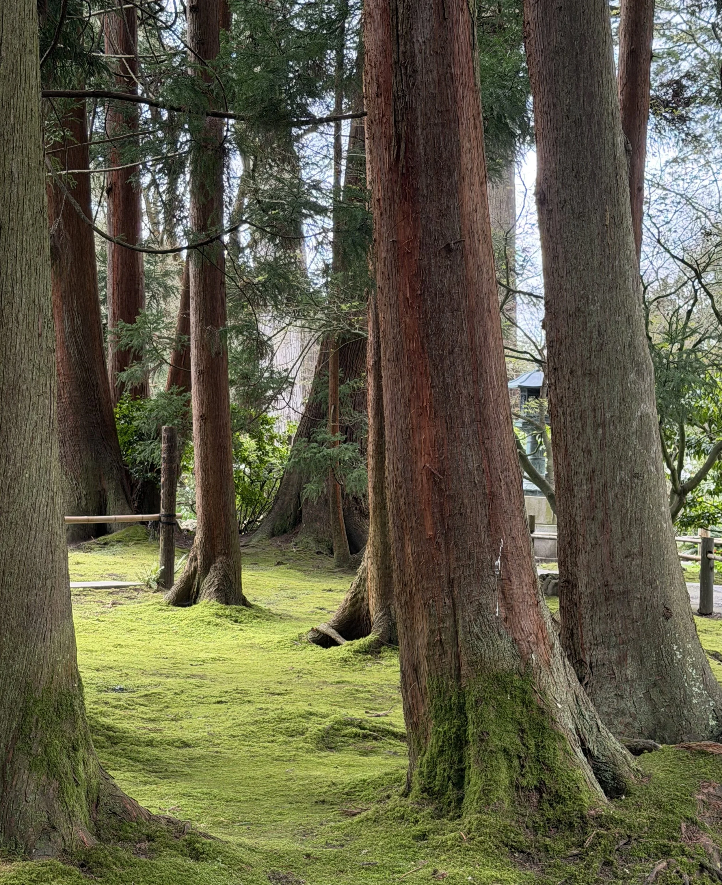 IMG_20260324_085705 (5).jpg