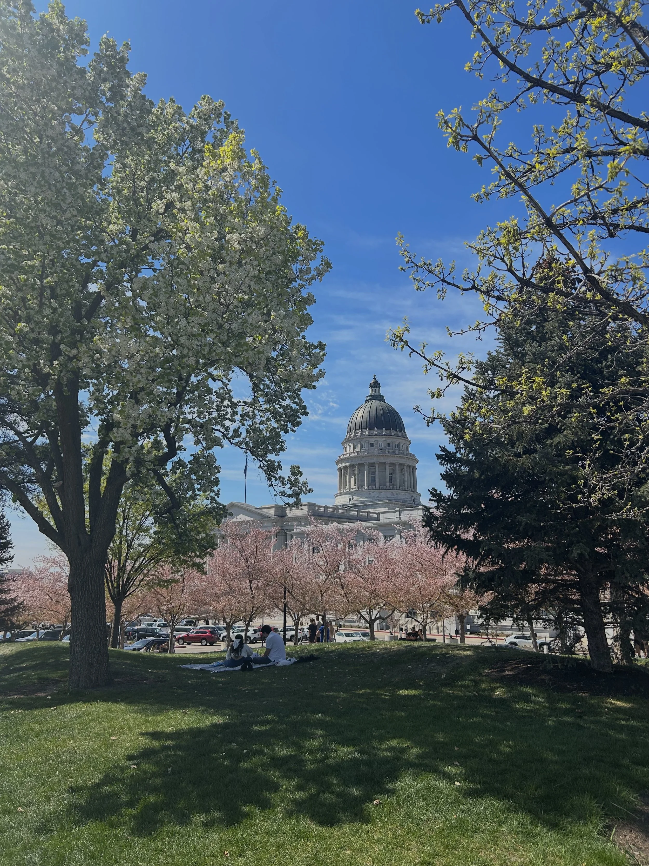 Zyanne G. - Capitol Blossoms