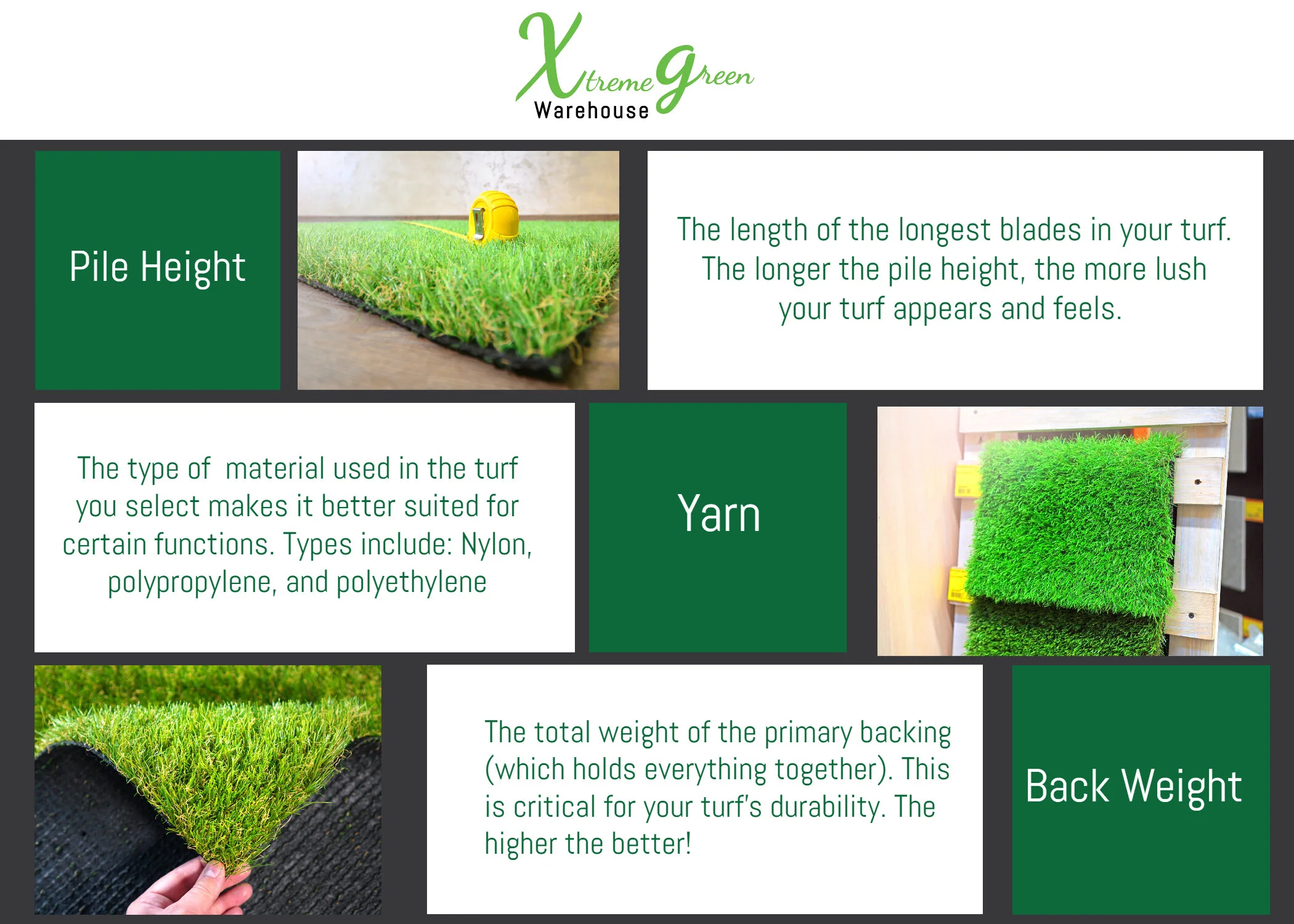 Turf Glossary Guide.jpg