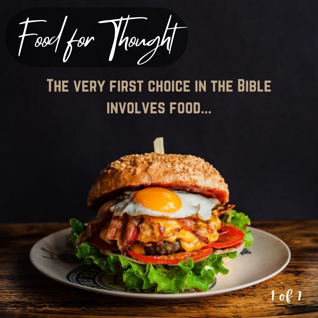 Woke up this morning thinking about Genesis... as you do!
.
To read the full post visit www.theologicallychallenged.co.uk/blog/food-for-thought 
.
.
.
#christianblogger #devotion #devotional #discipleship #christian #christianquotes #bible #theology 