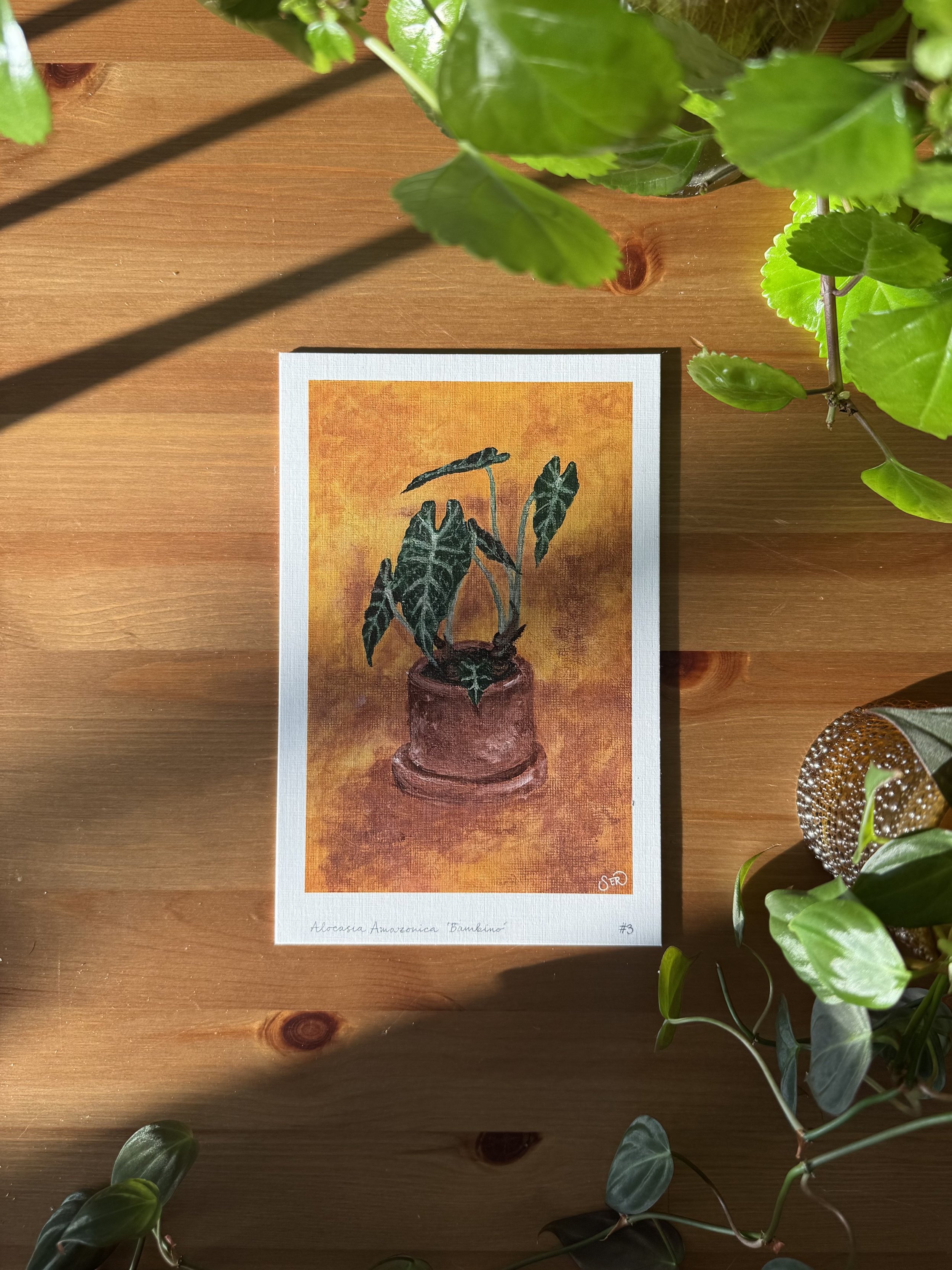 plantstudy_print#3.jpeg