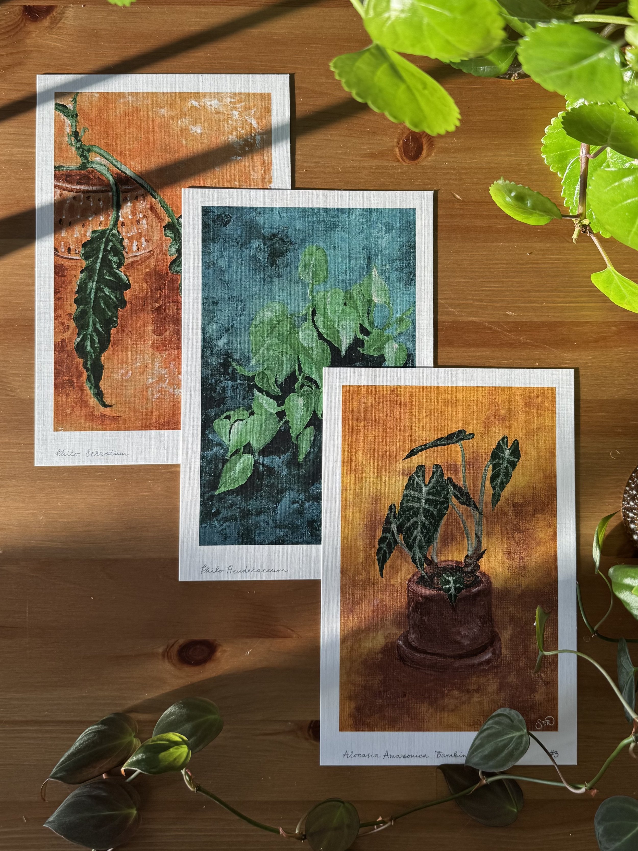 allprints_staggered_flatlay.jpeg
