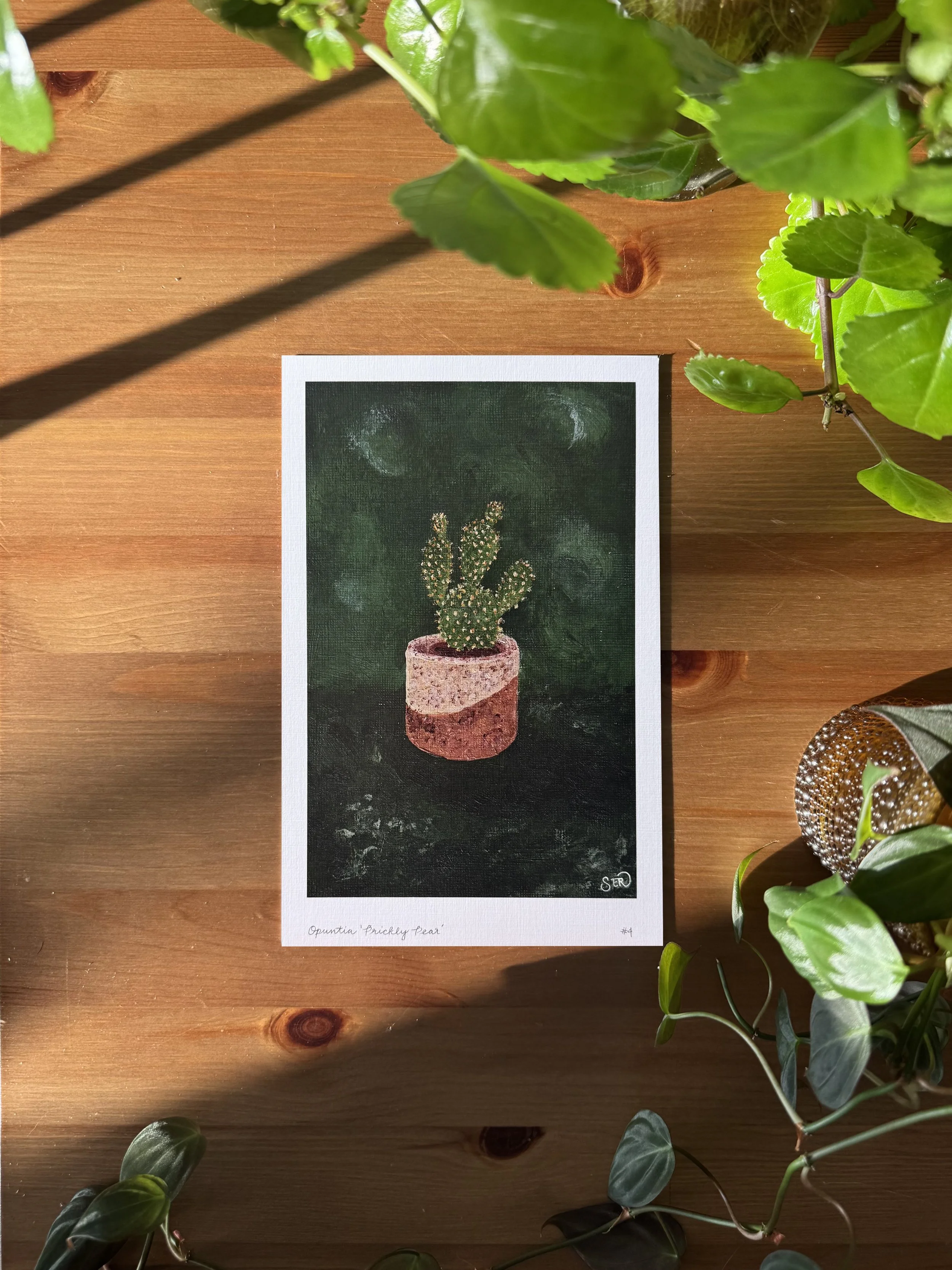 plantstudy_print04.jpg