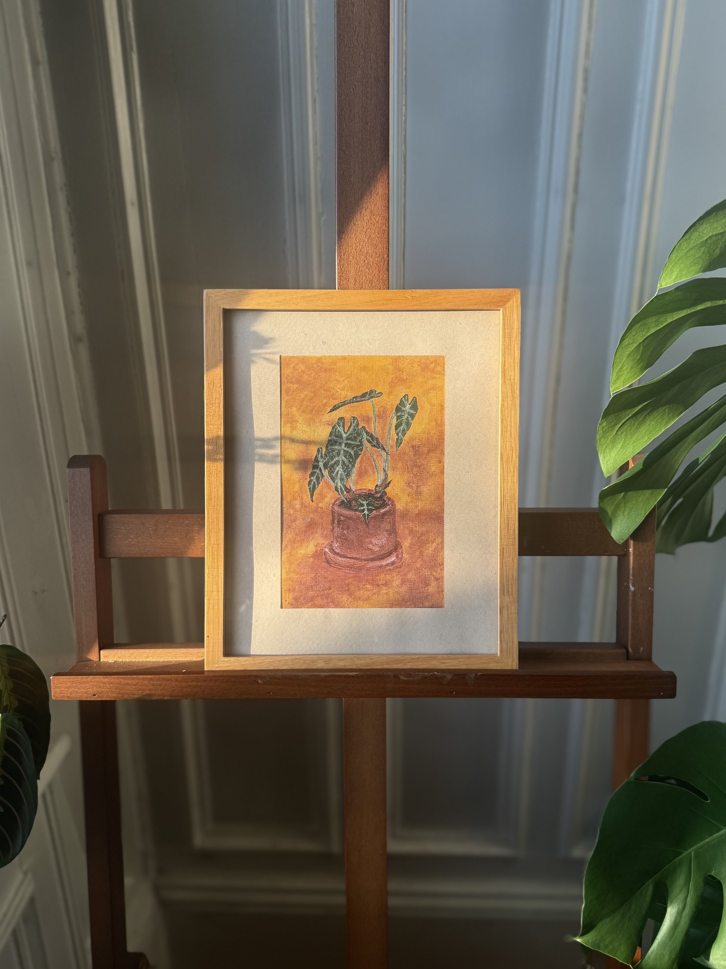 plantstudy_print03_framed.jpeg
