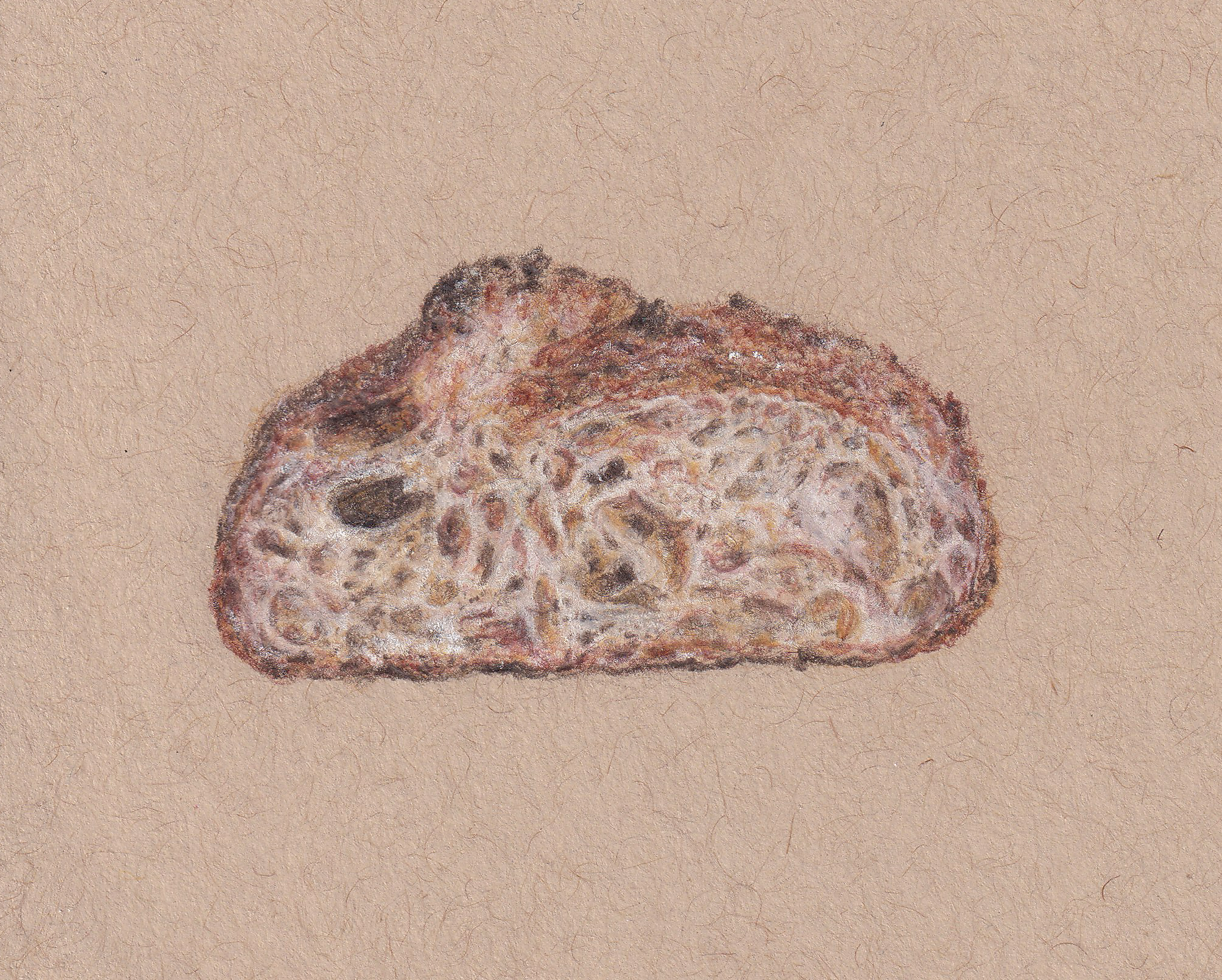 sourdough_originalscan.png