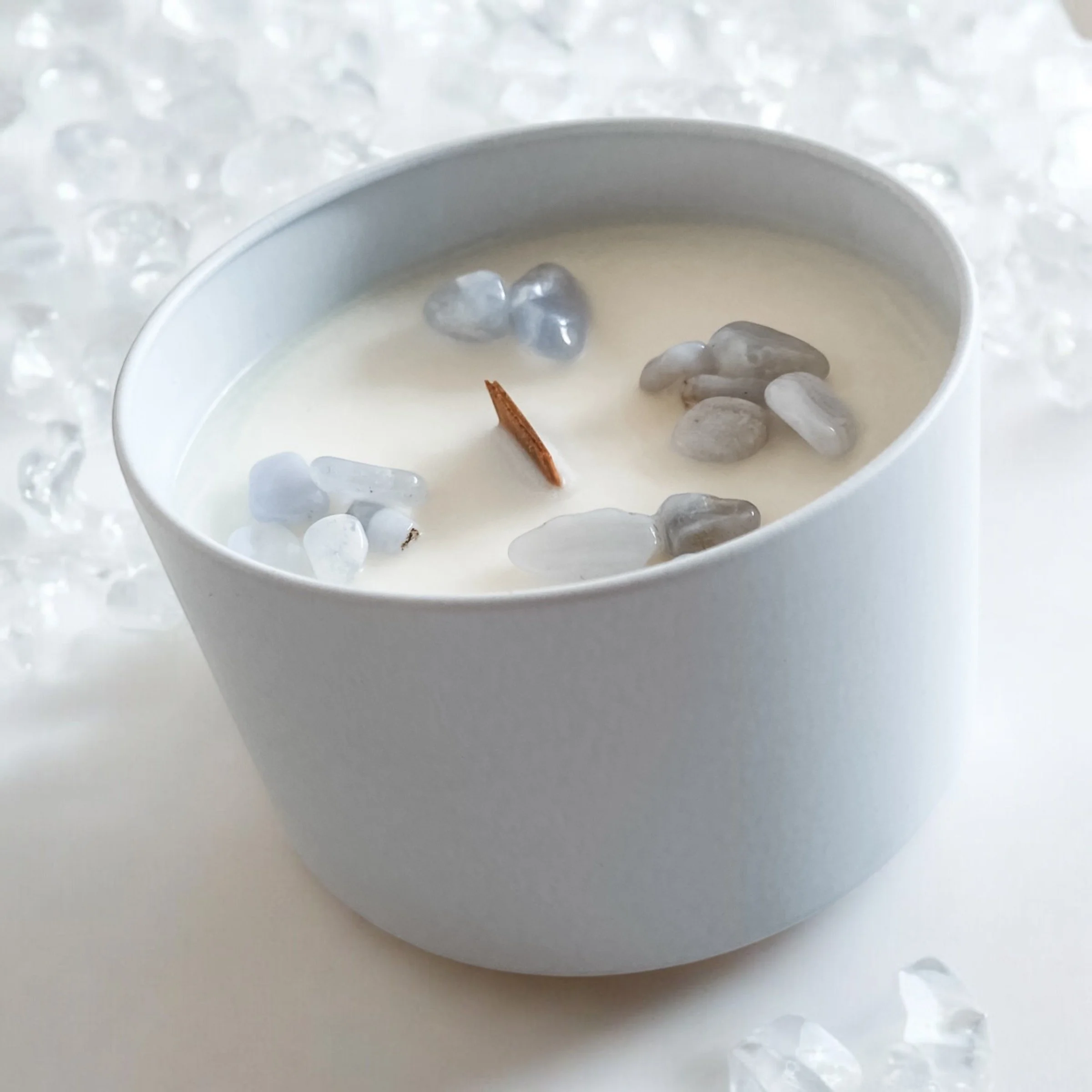 Photo Nov 15 2024, 11 21 26 AM.jpg